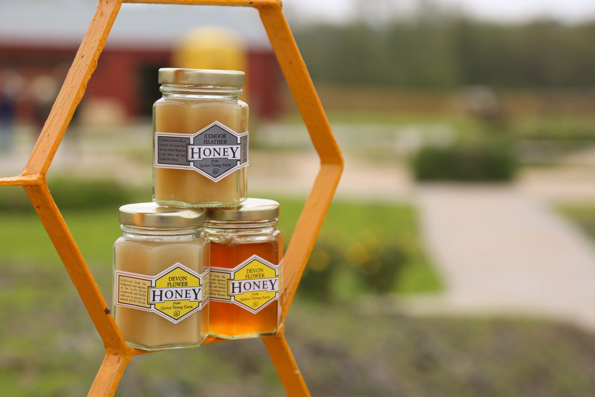 Honey-jars-3.jpeg