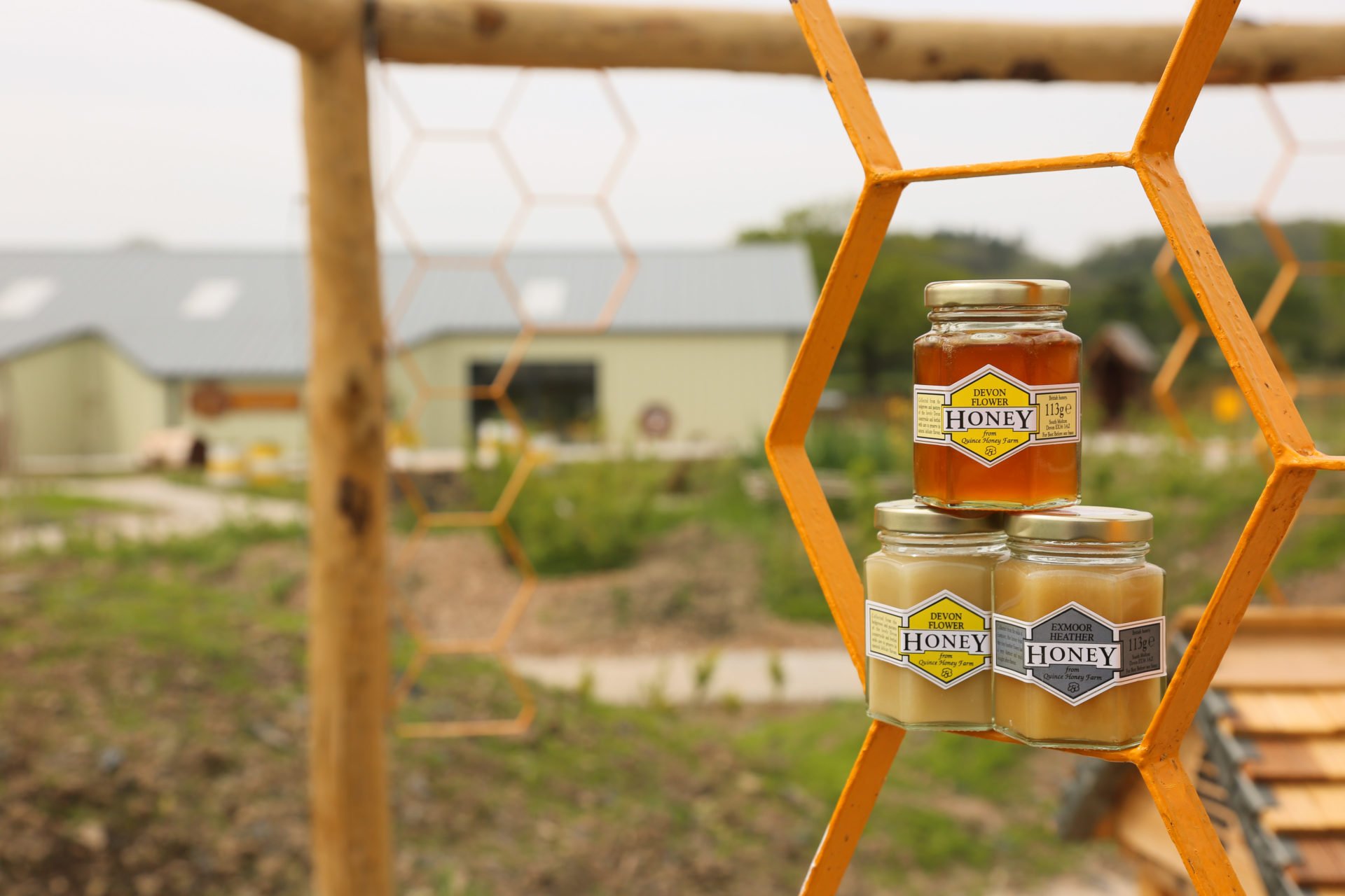 Honey-jars-1.jpeg