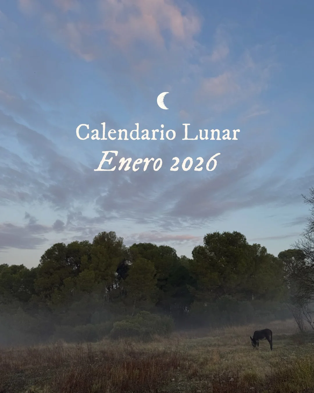 Calendario Lunar * Enero 2026
