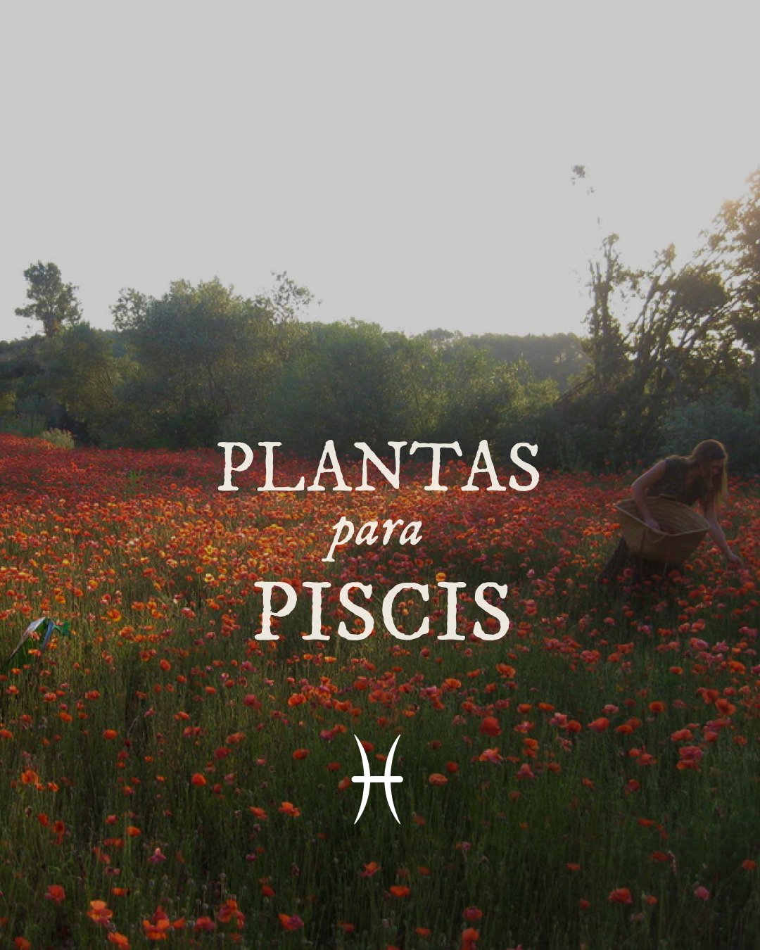 Plantas de Piscis