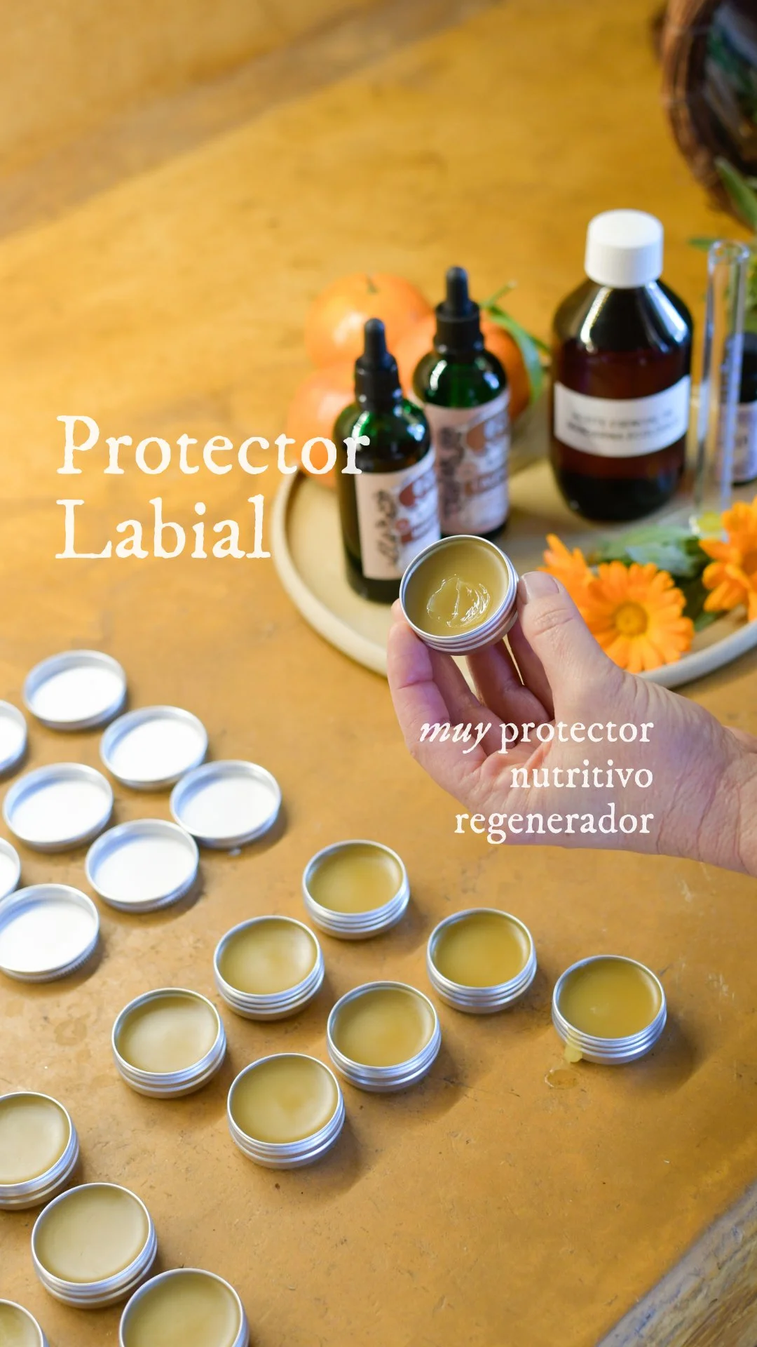 ingredientes naturales balsamo labial plantas