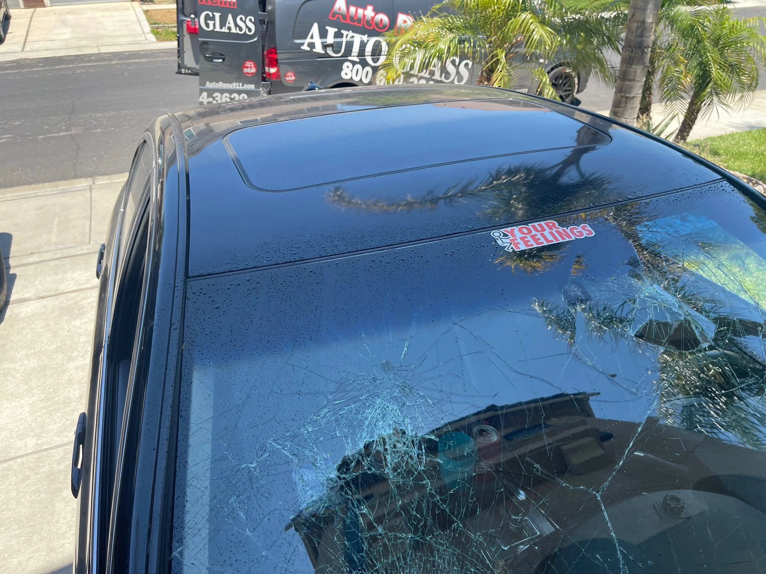 Windshield Replacement