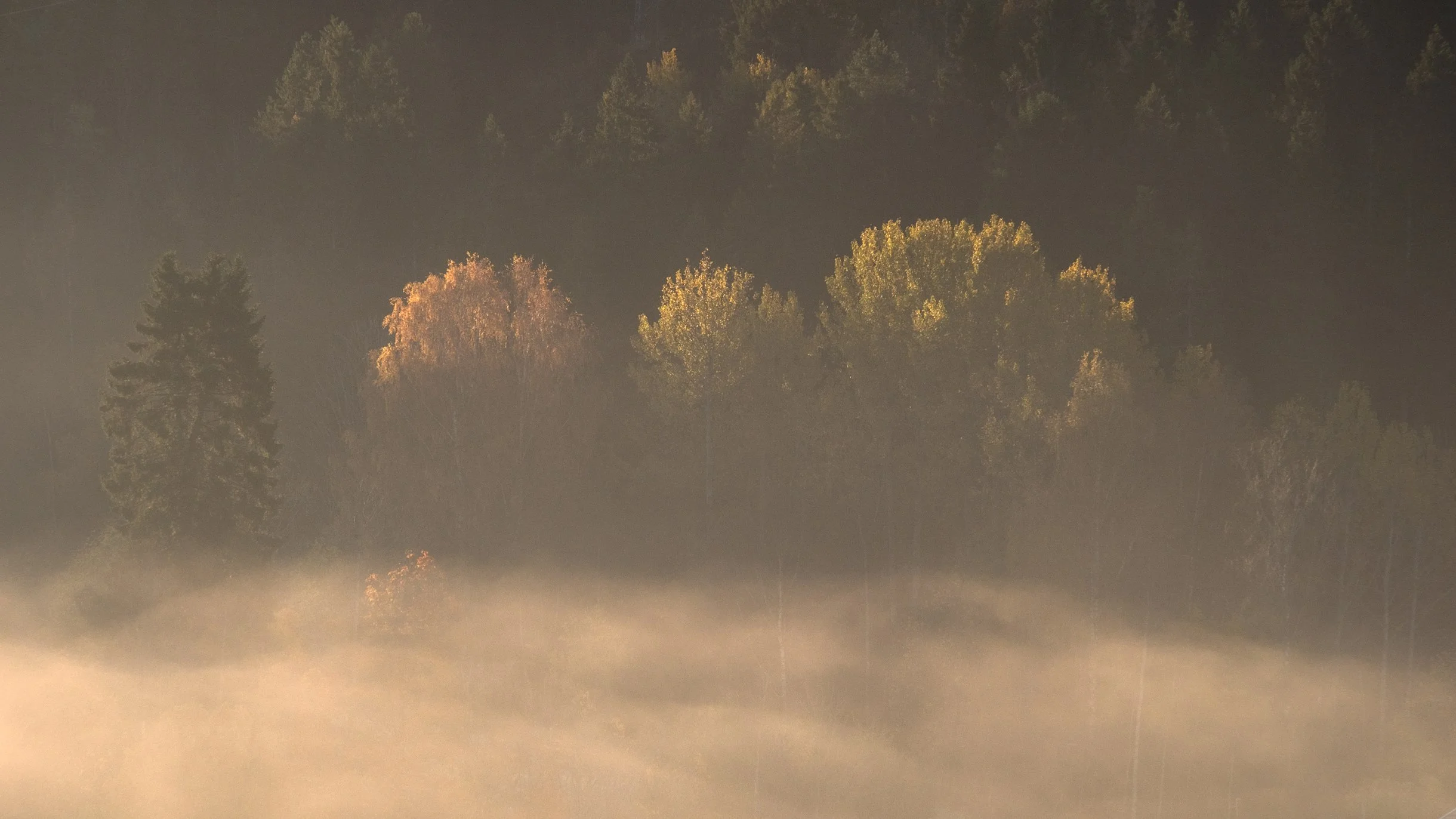 SannihøstmorgenlysDSCF9798-Edit.jpg