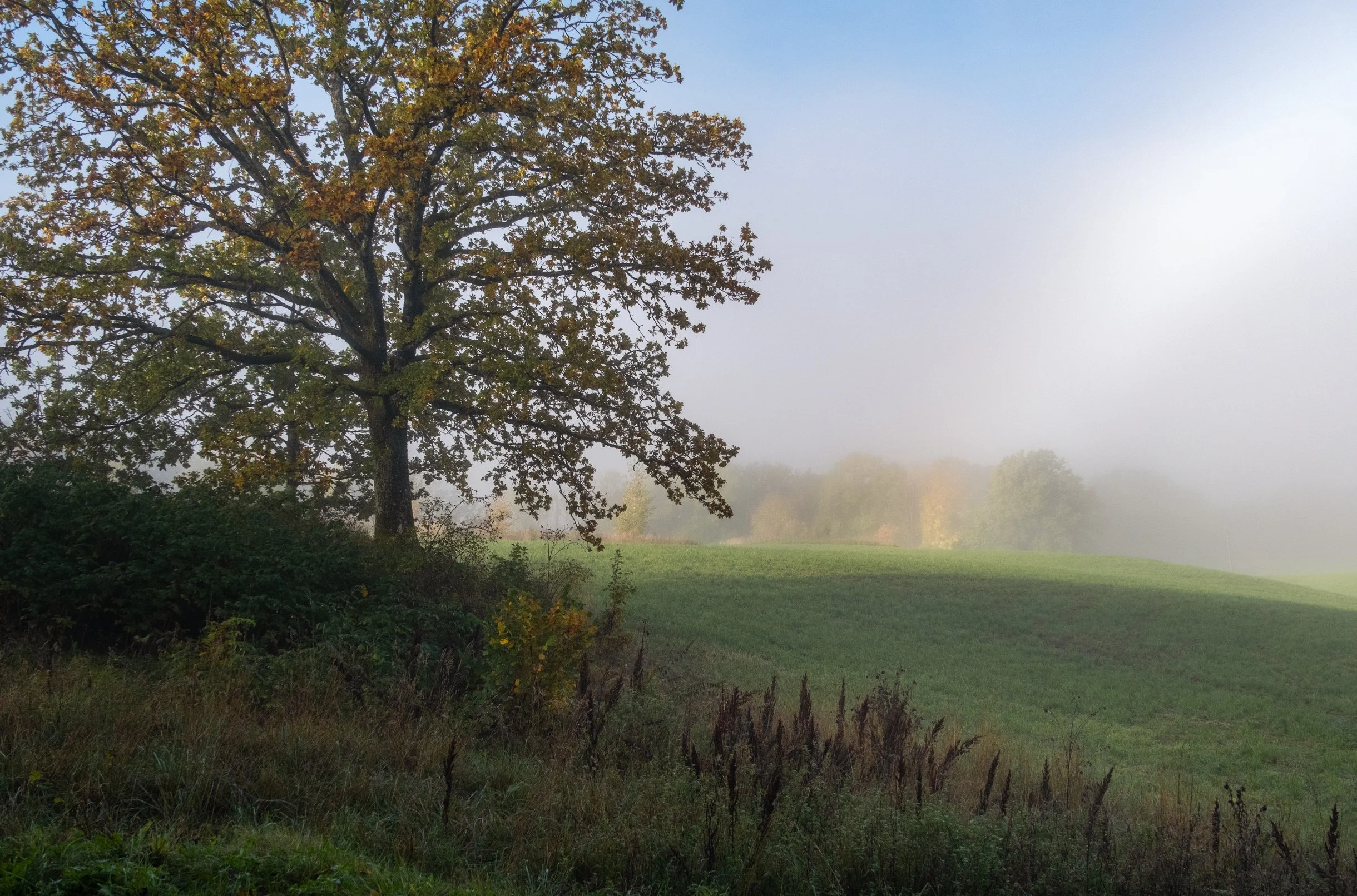 SneltvedtMorgenDSCF9624-Edit.jpg