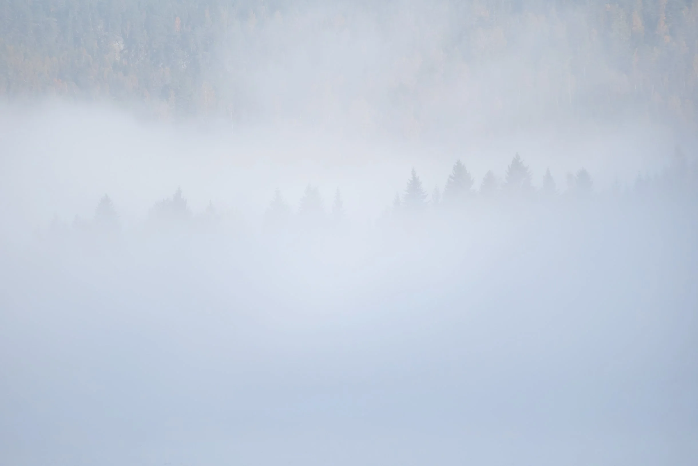 GonMorgenDSCF9576-Forbedret-NR-Edit.jpg