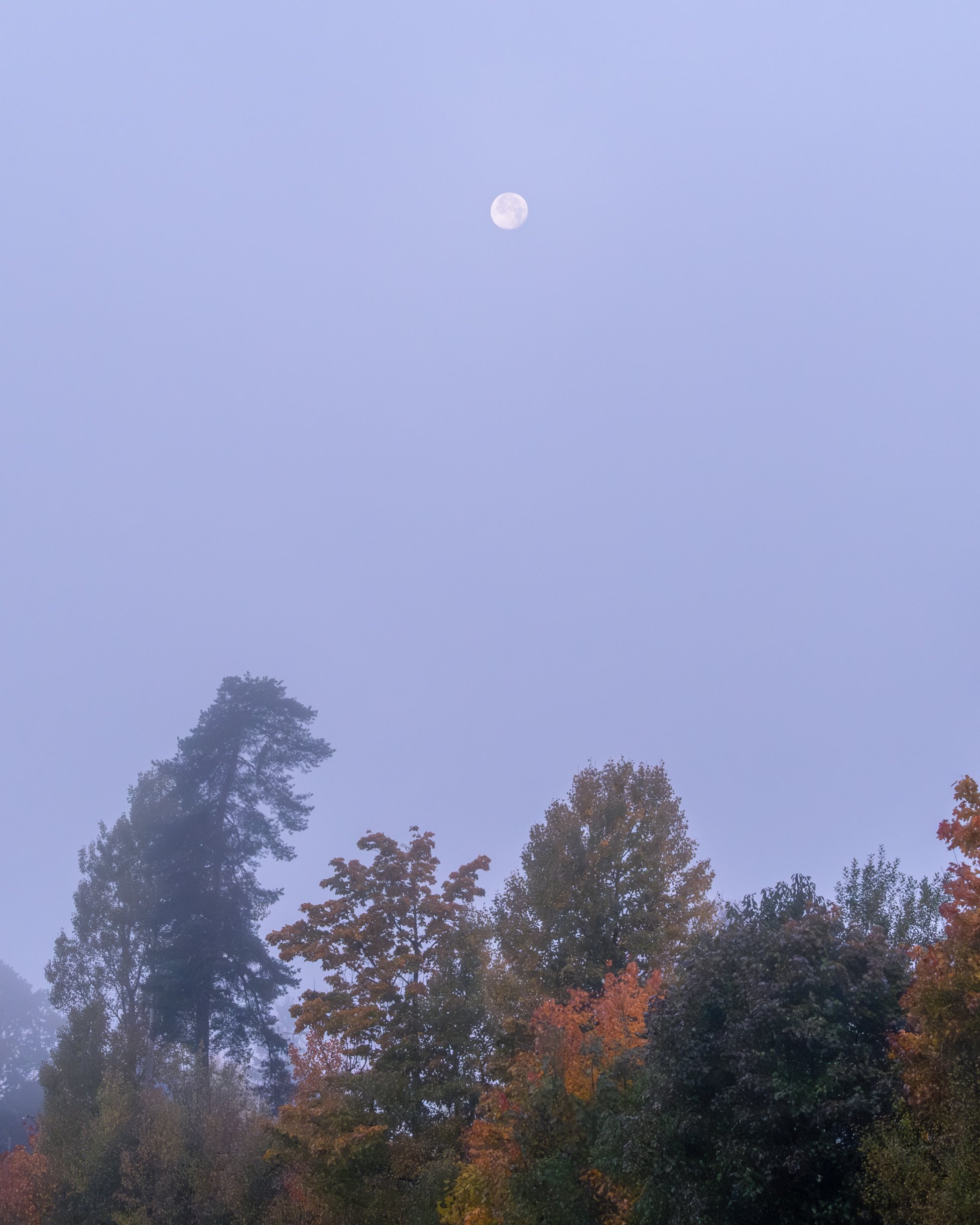 SkienMåneHøstDSCF9254-Forbedret-NR-Edit.jpg