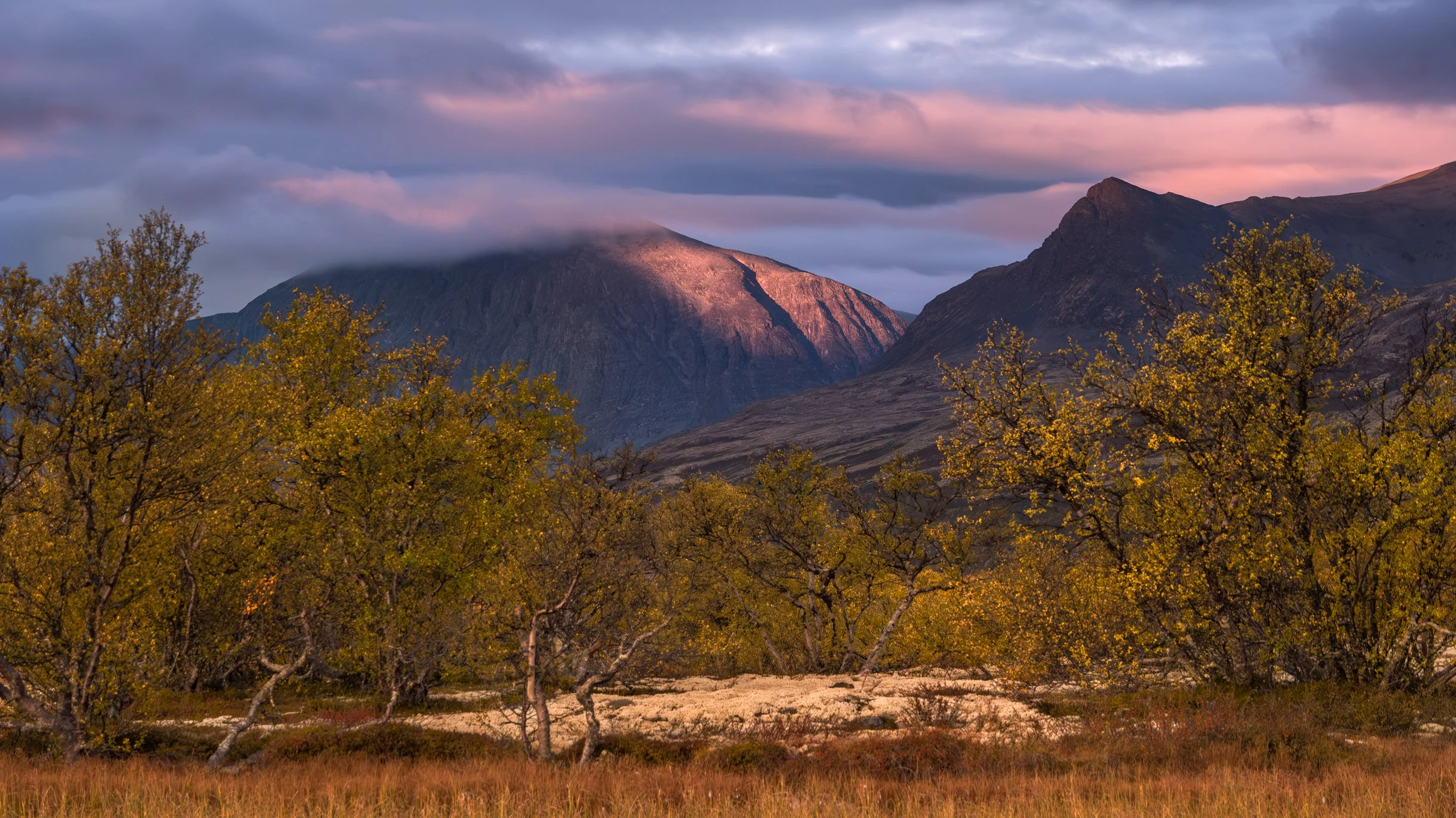 Dørålen225HøstDSCF8234-Forbedret-NR-Edit.jpg