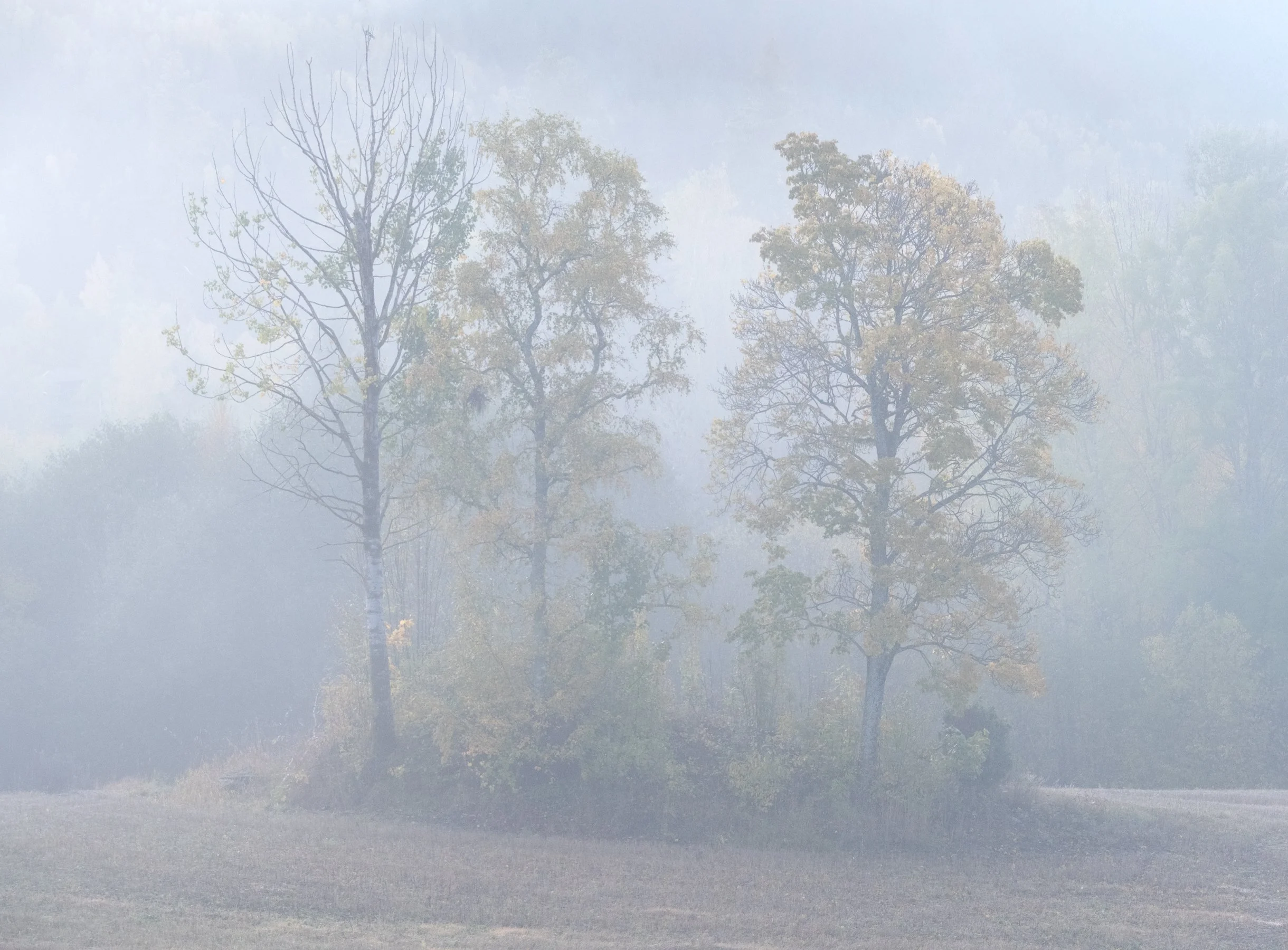 HønefossmorgenDSCF9003-Edit.jpg