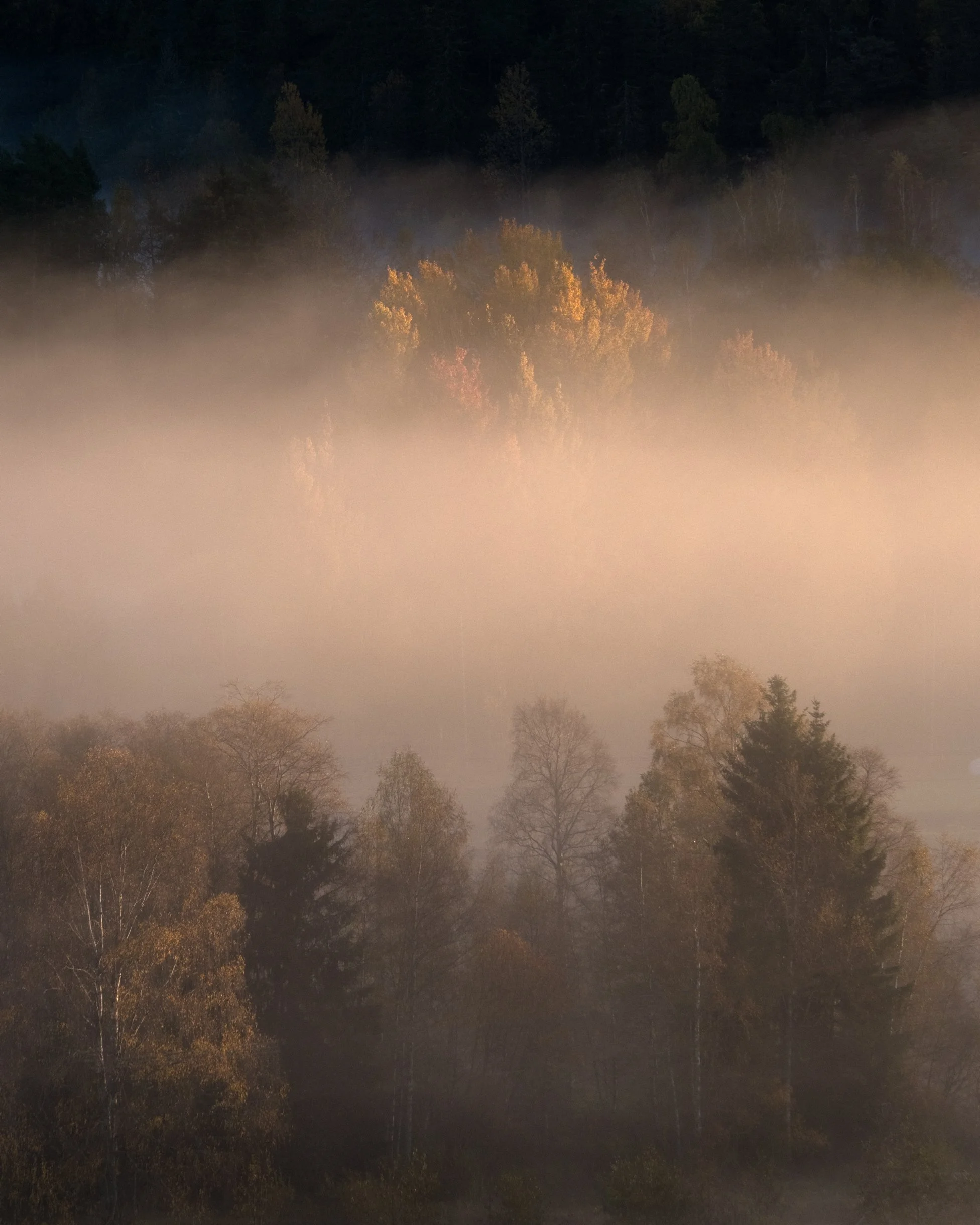 SiljanMorgenDSCF9376-Edit.jpg