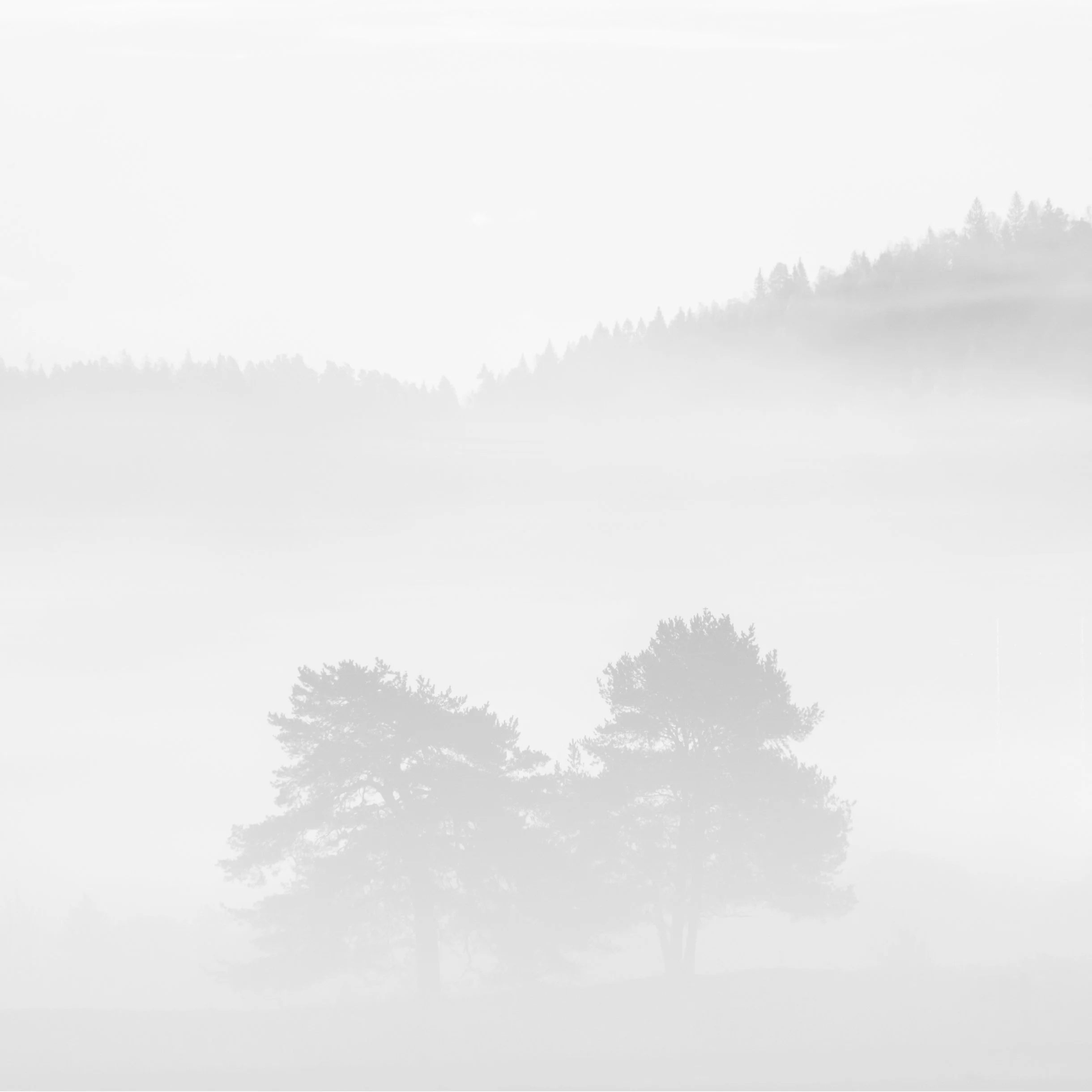 GjerpensdalenHøstBWDSCF9724-Edit.jpg