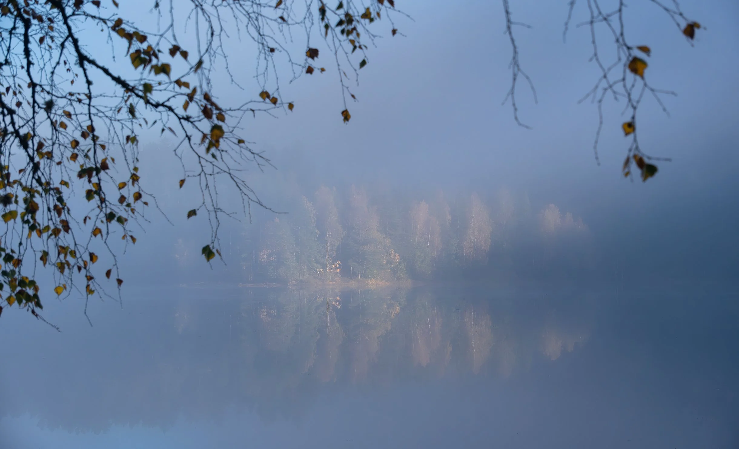 GoningenHøstmorgenlysDSCF9512-Forbedret-NR-Edit.jpg