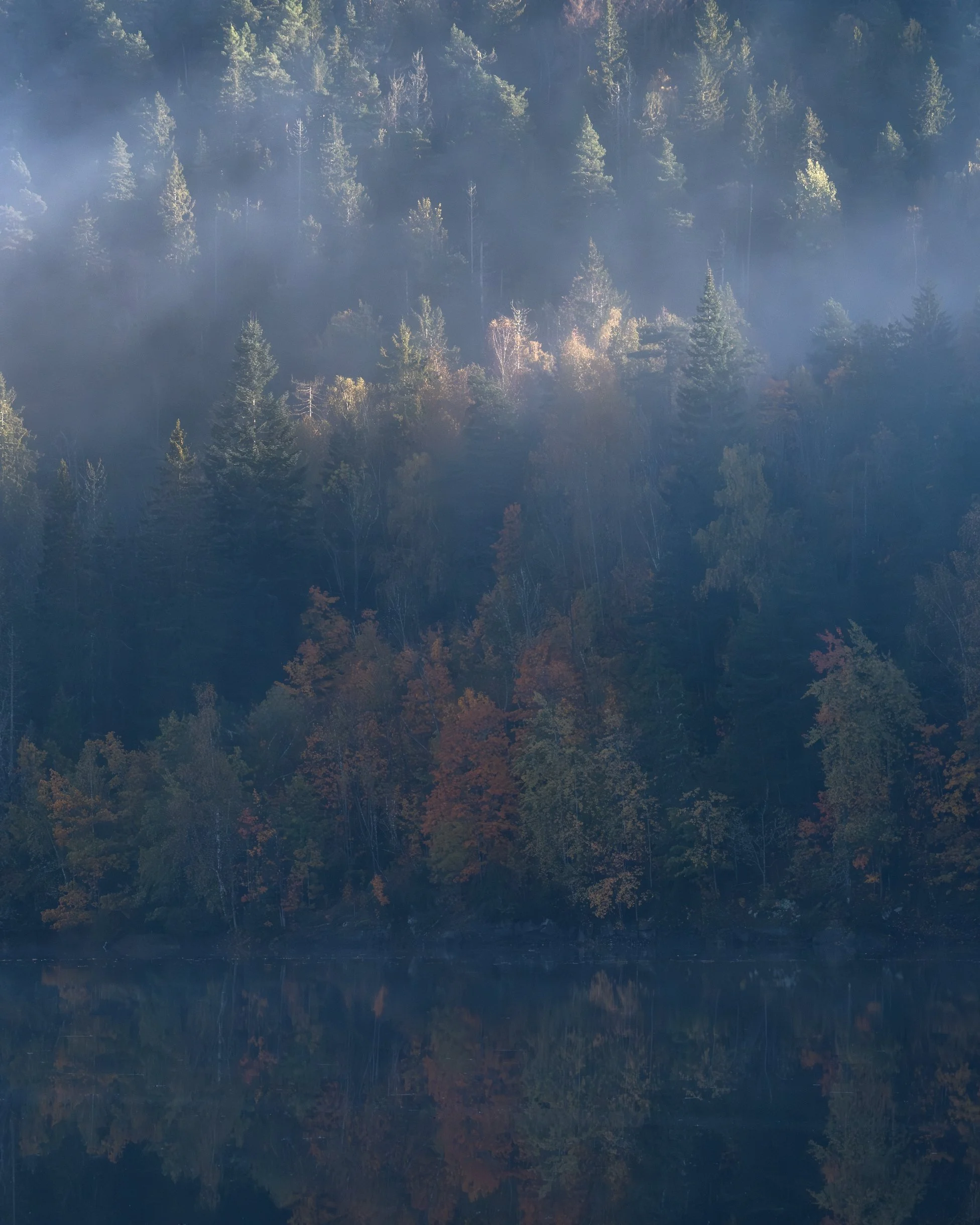 KveldehøstDSCF9570-Forbedret-NR-Edit.jpg