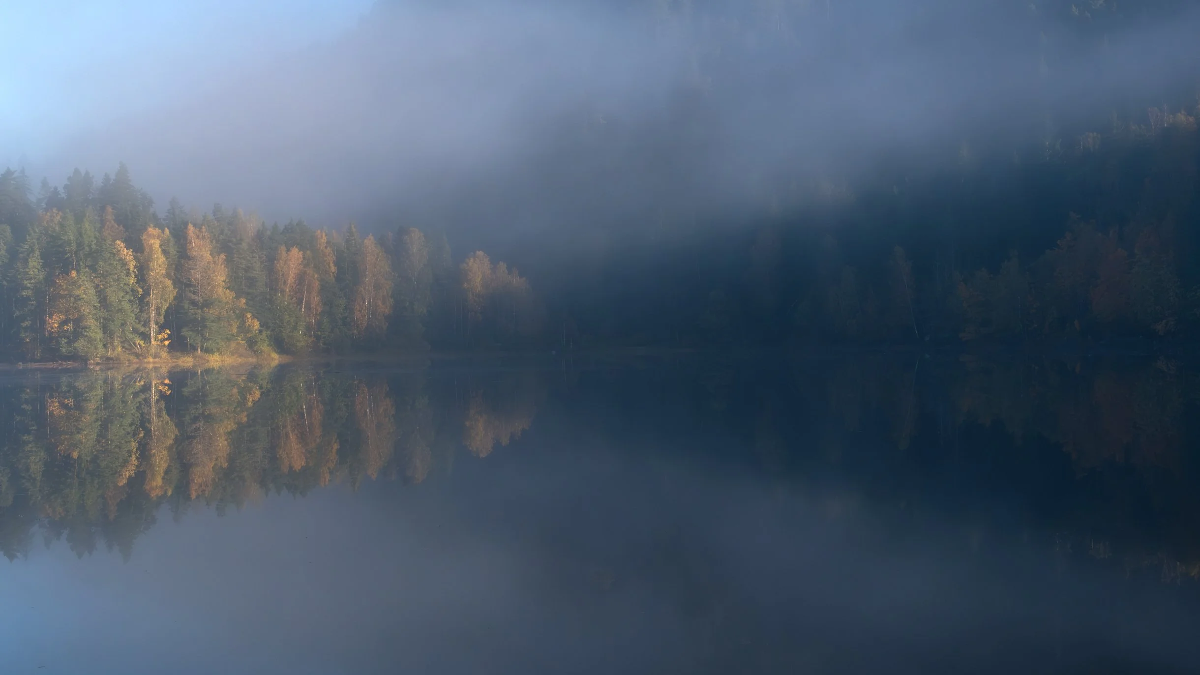 GonMorgenDSCF9527-Forbedret-NR-Edit.jpg