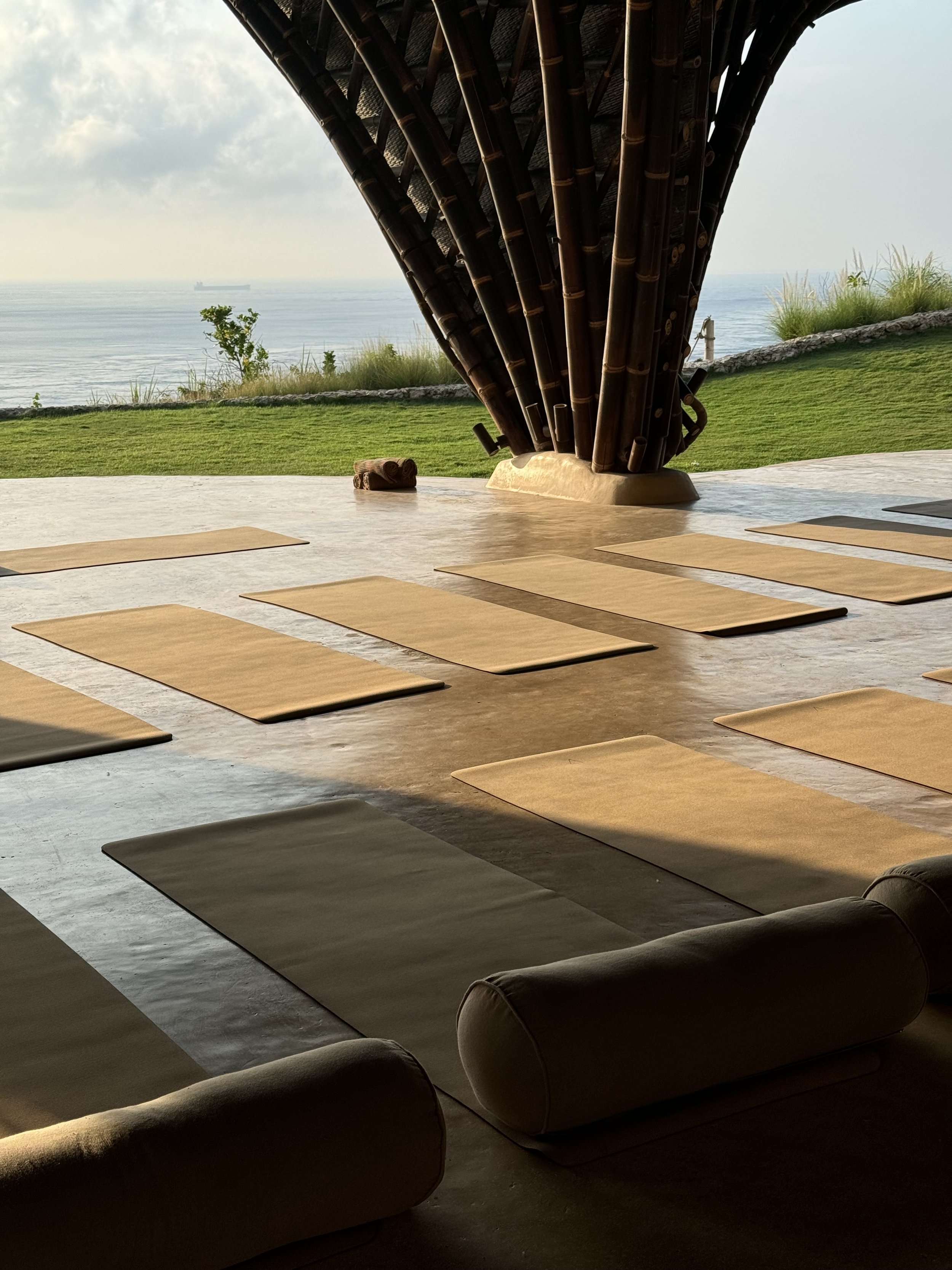 Why I Created My Online Studio: Movement as Medicine, Anywhere You Are