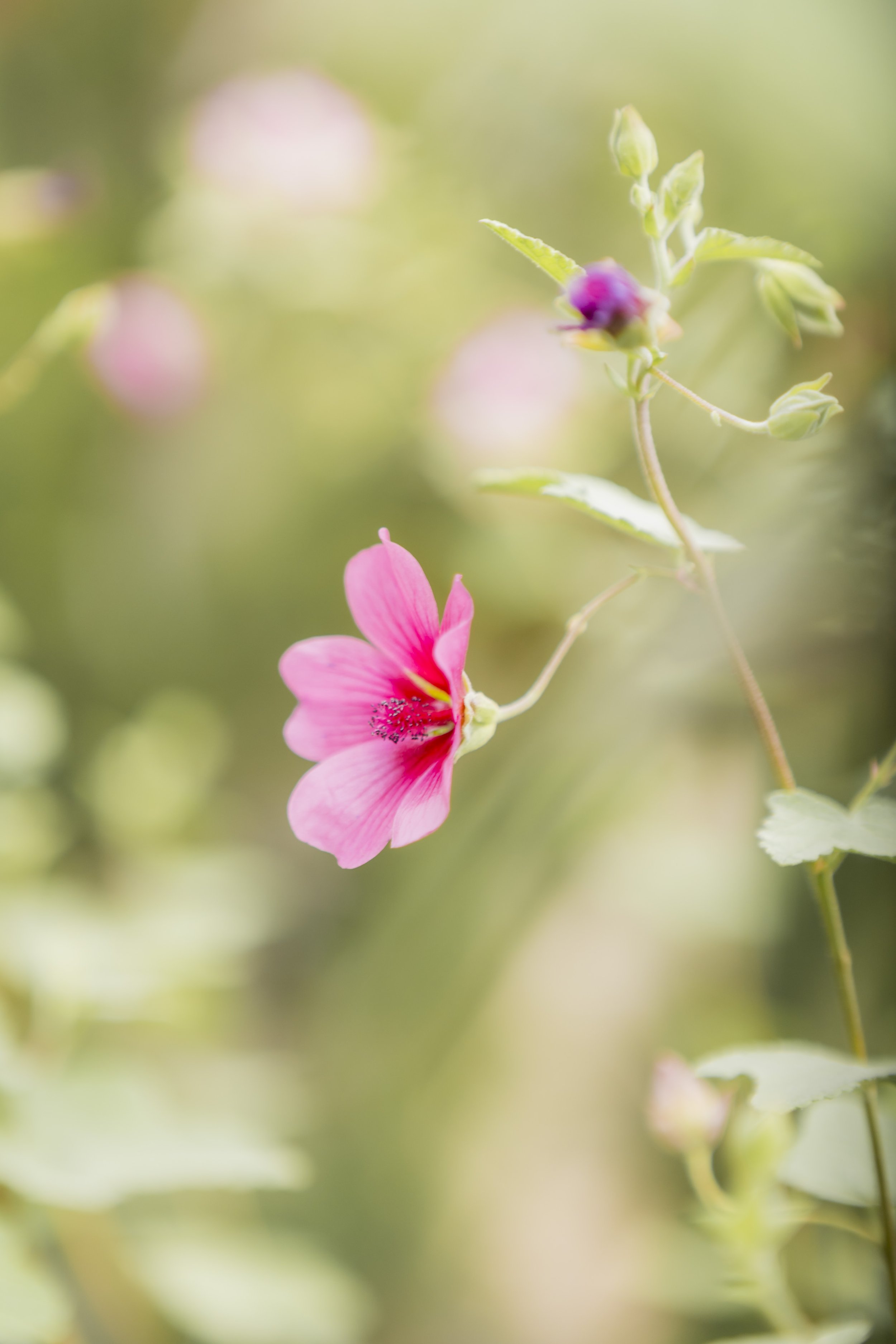 The_Exchange_Garden_Party-15.jpg