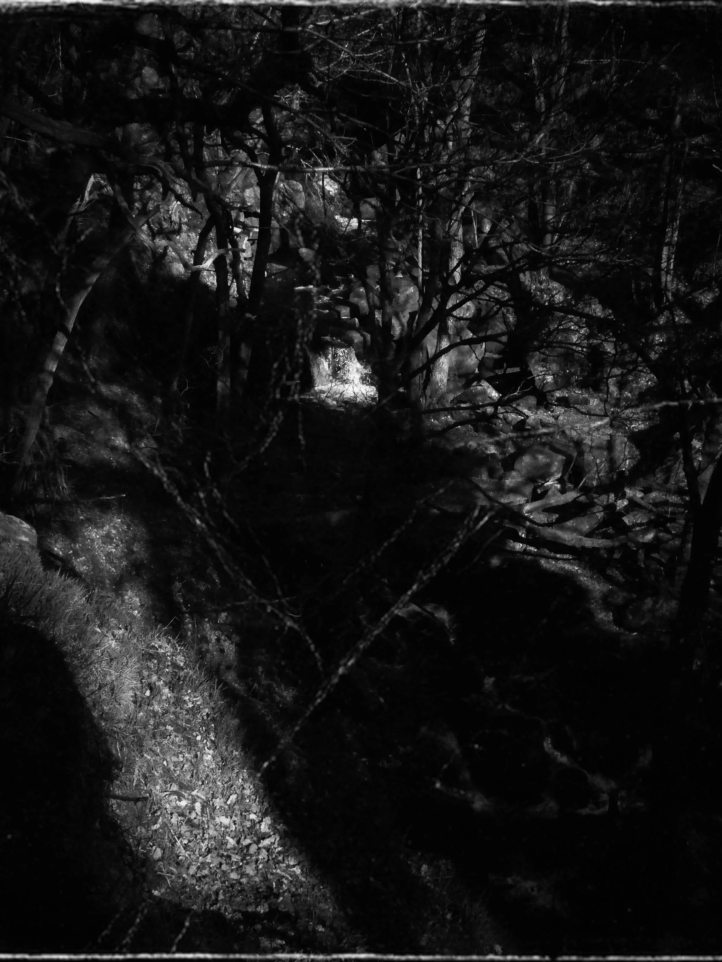 BE0A7060-D7C3-4EAC-BAAB-F07E7C6EA072 2.jpg