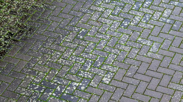 0_Concrete-pavers-in-a-driveway-with-green-coating-and-white-spots.jpg