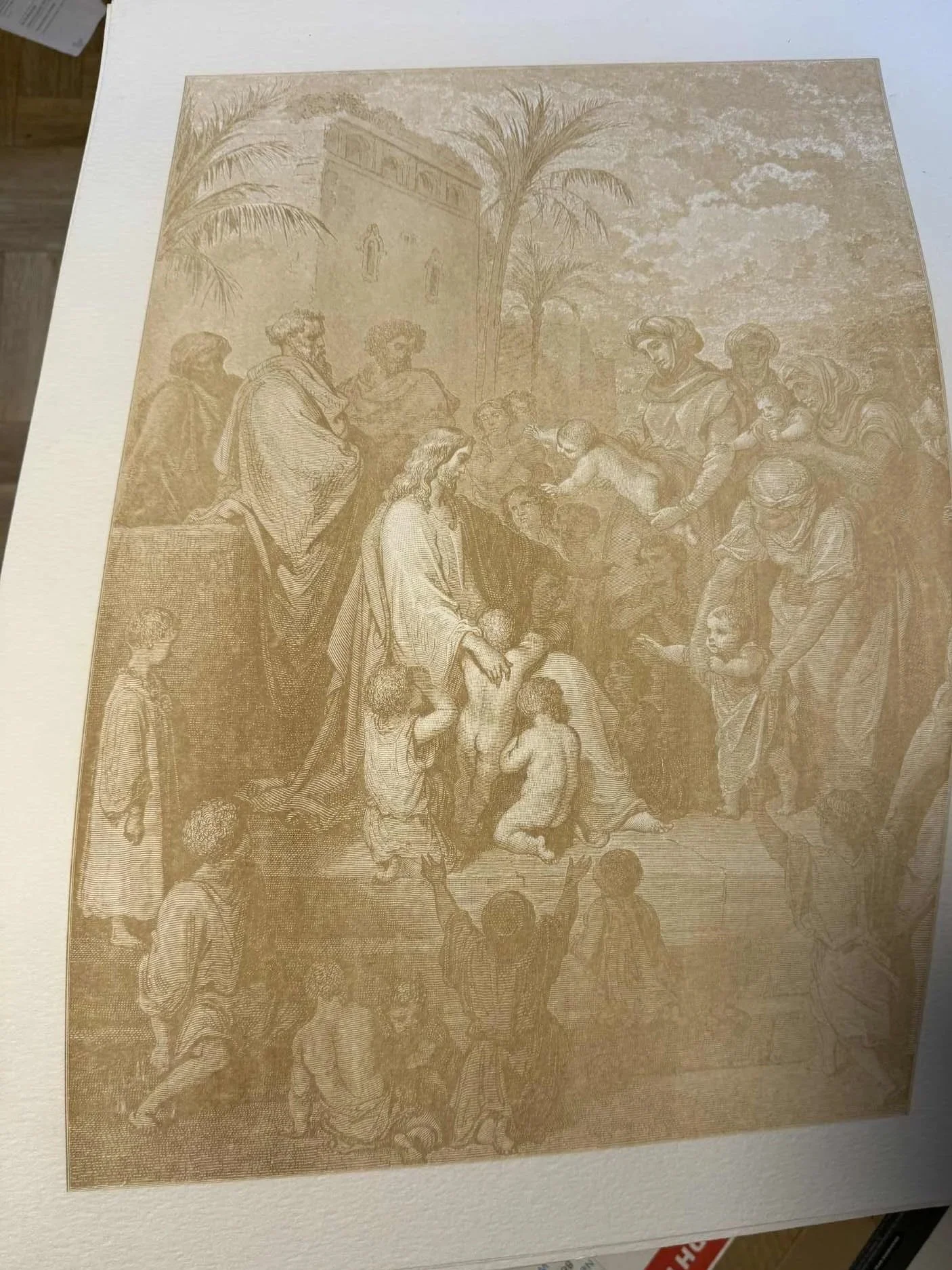 AA624.jpg