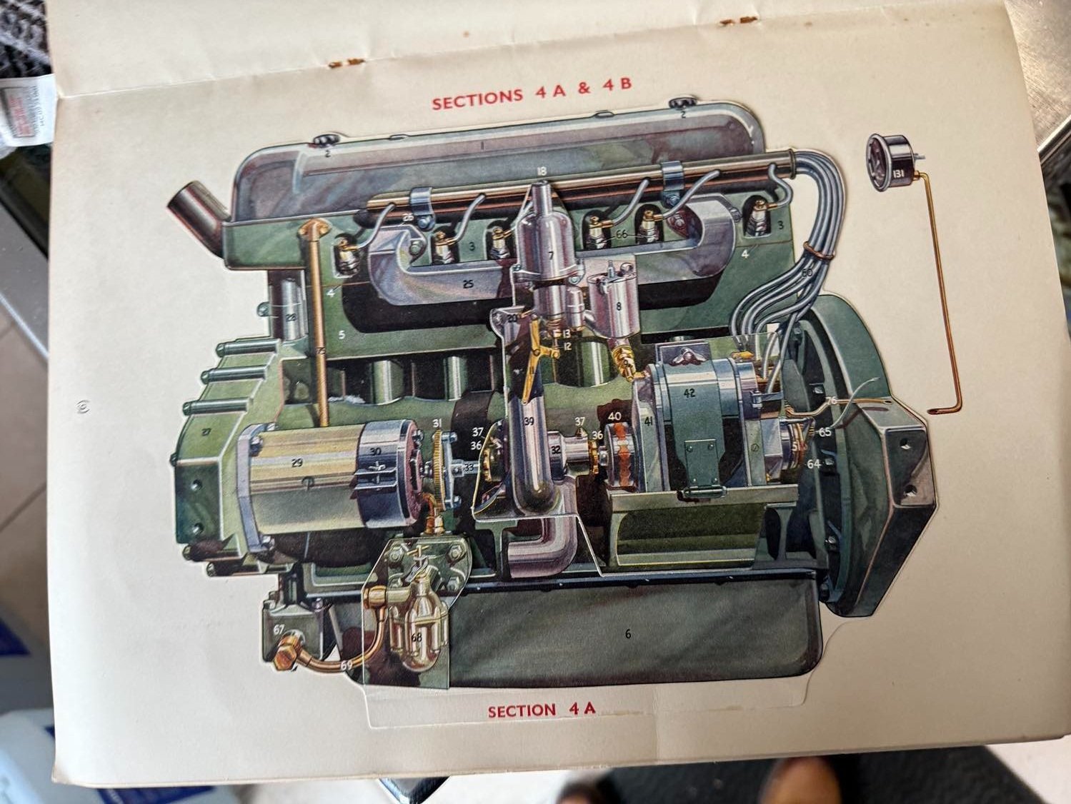 DR8.jpg