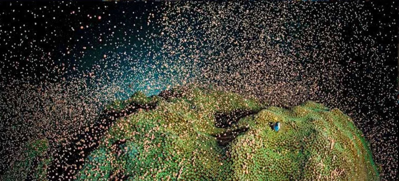 WhatsApp Image 2025-07-11 at 18.07.44.jpeg