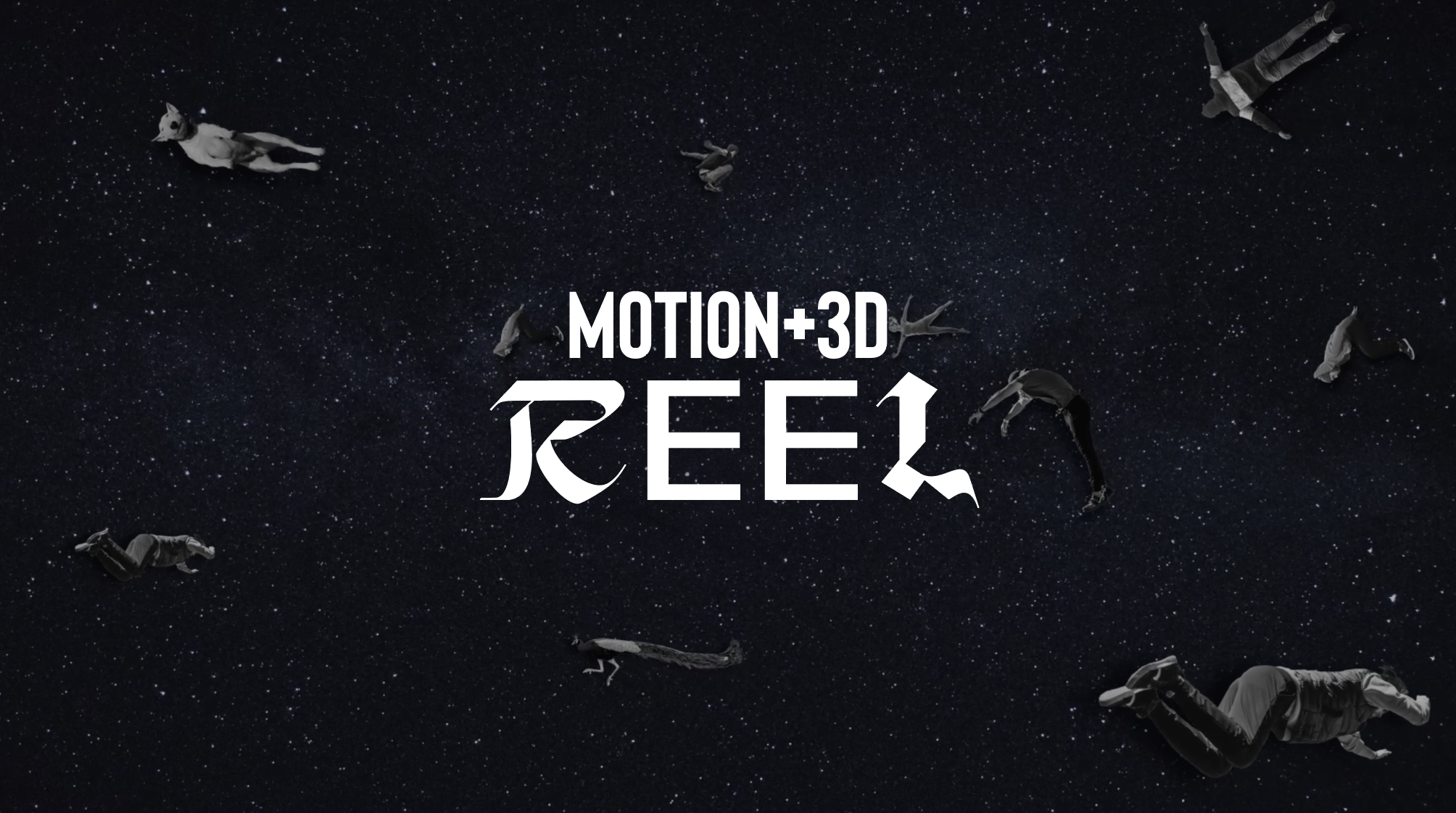 MOTION+3D REEL