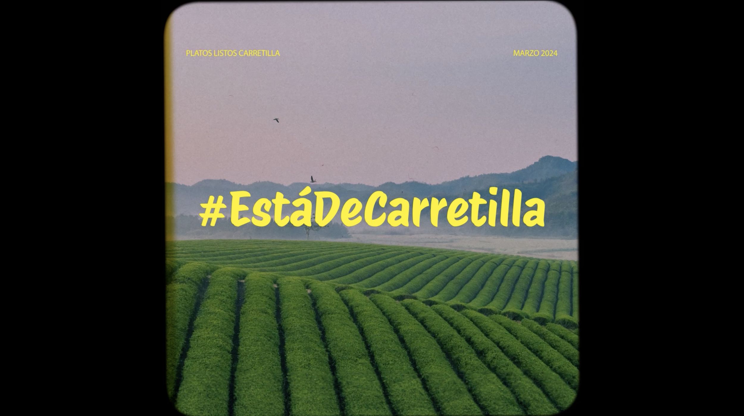 #EstáDeCarretilla