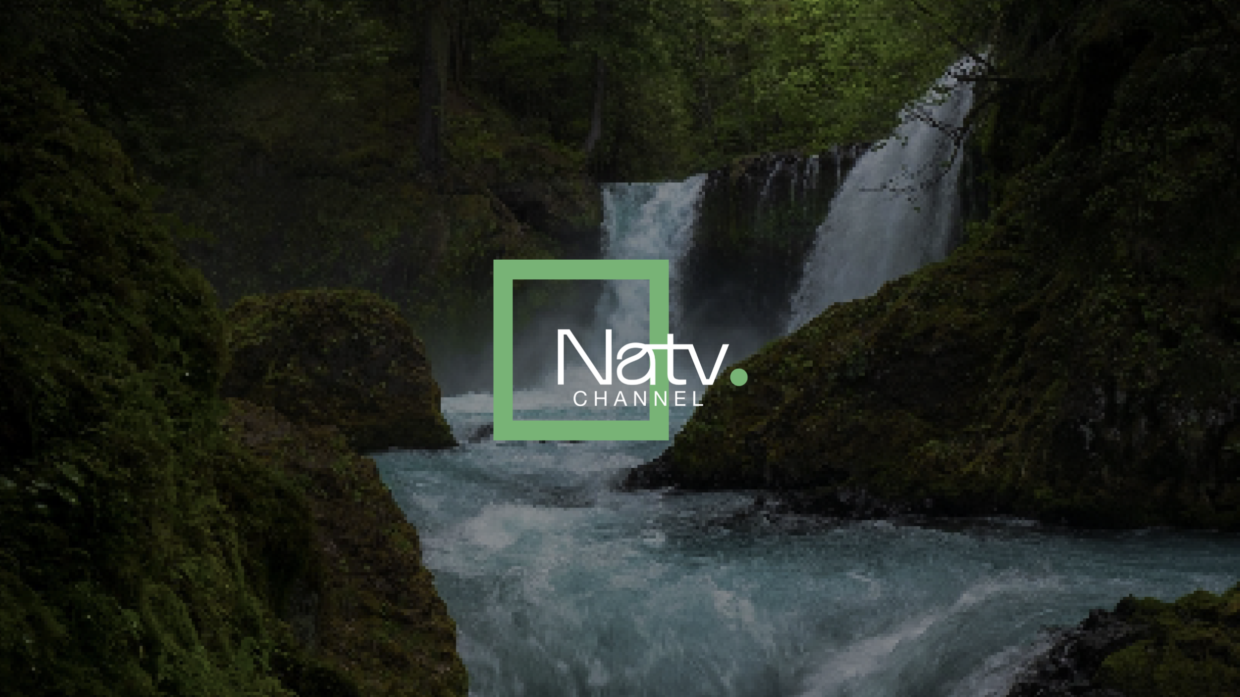 Motion Graphics - Natv Logo Animation