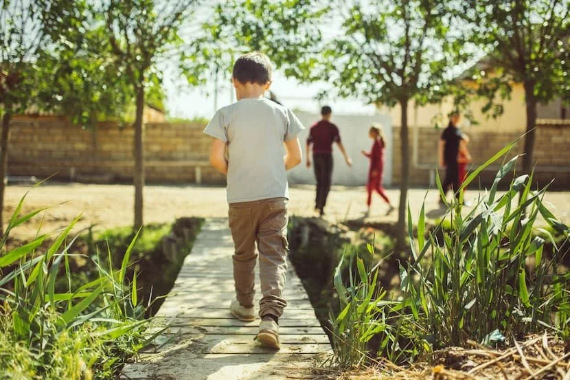 back-view-of-a-boy-walking-on-a-footbridge-in-a-park