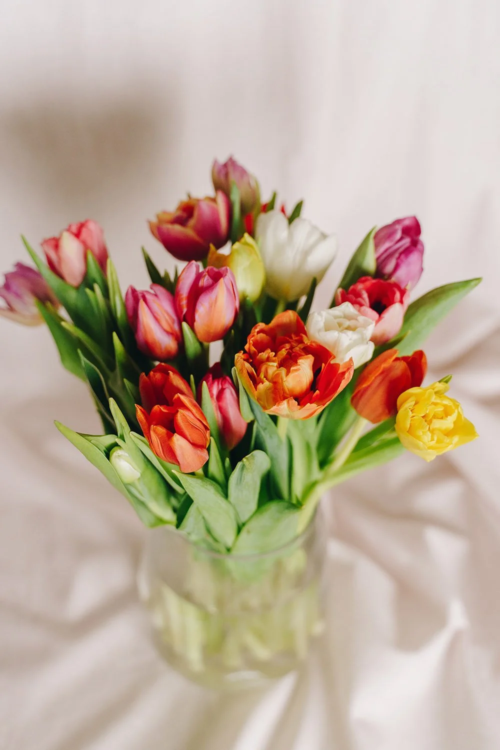 RAMO TULIPANES COLOR VARIADO