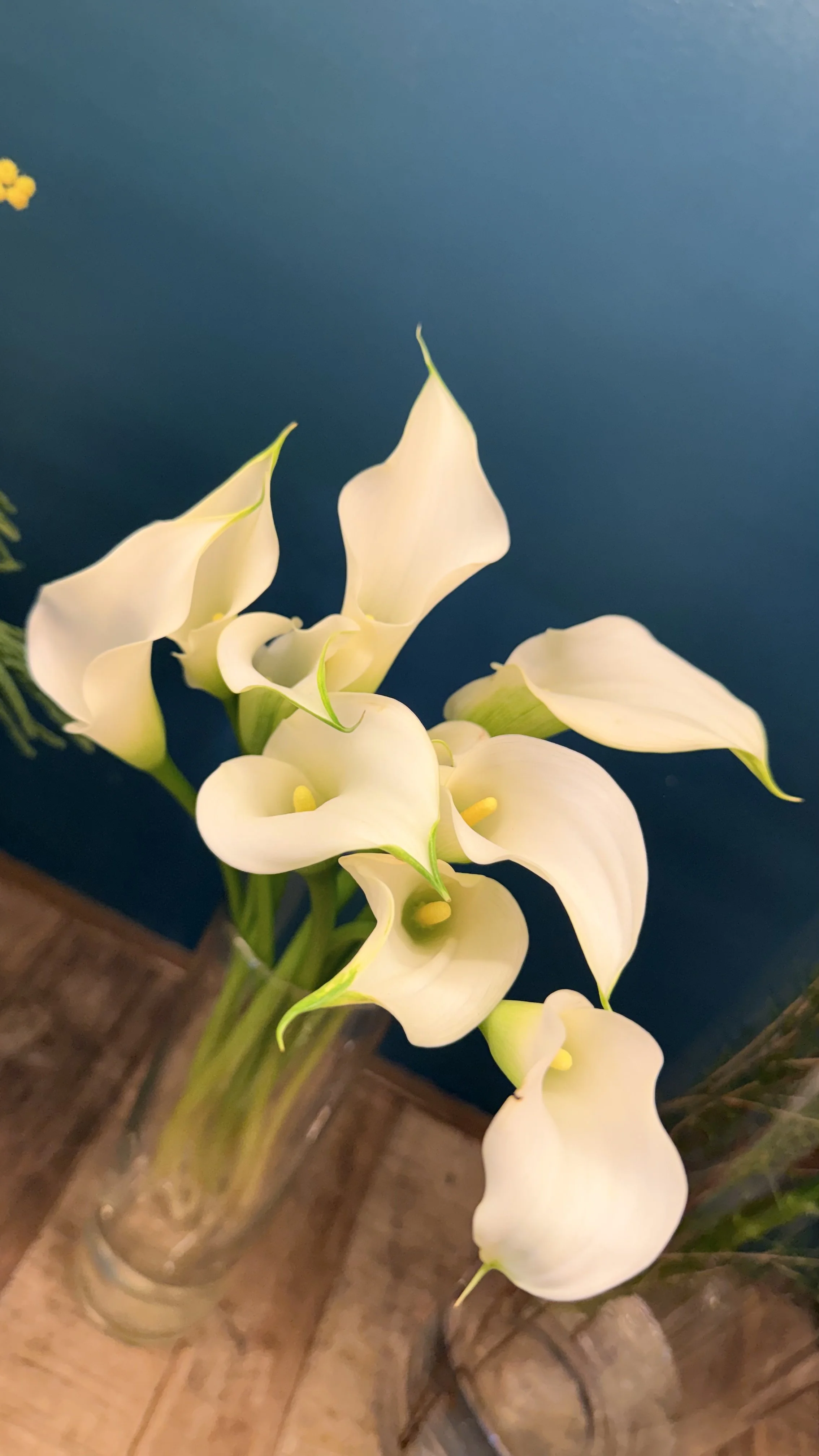 Calas Blancas: El lujo silencioso que define el estilo floral