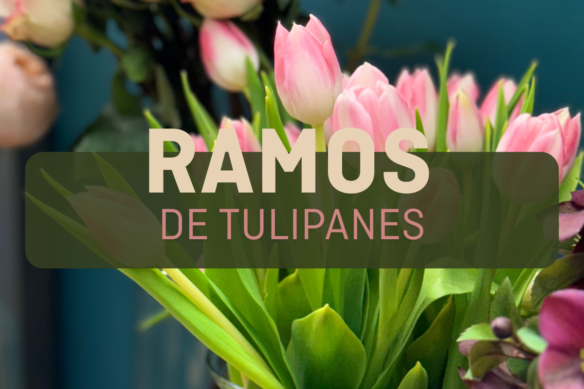 DESDE 30€. 
Ramo de tulipanes frescos en tonos vibrantes. Ideal para regalar o decorar cualquier espacio