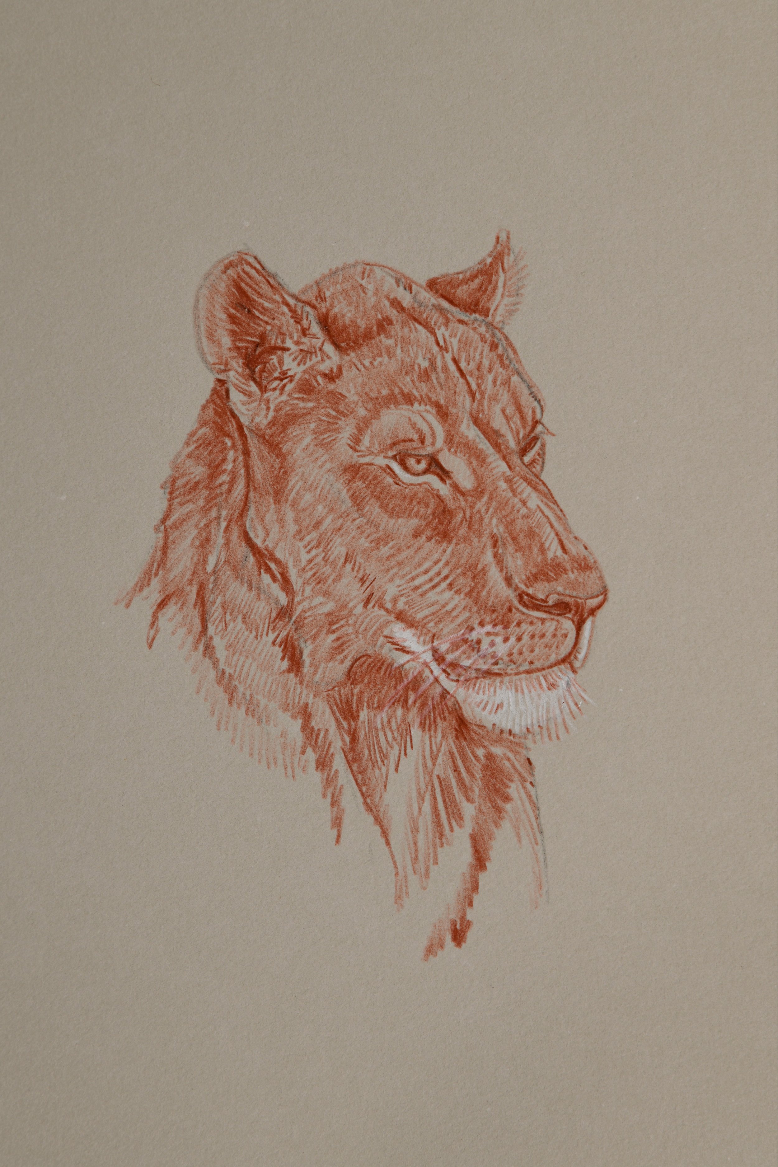 Ian_Drawings for Web8.jpg