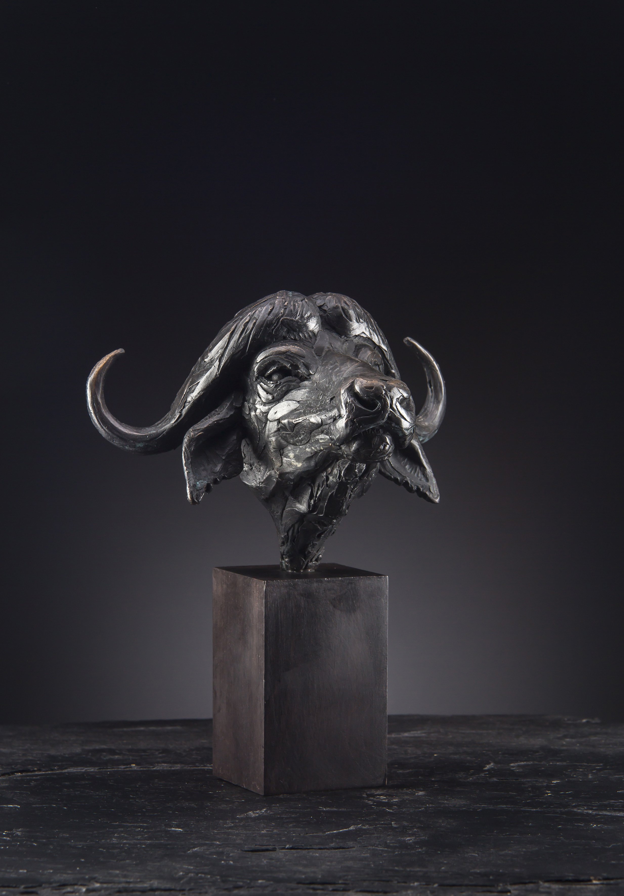 Cape Buffalo - Head Study > Find out more...