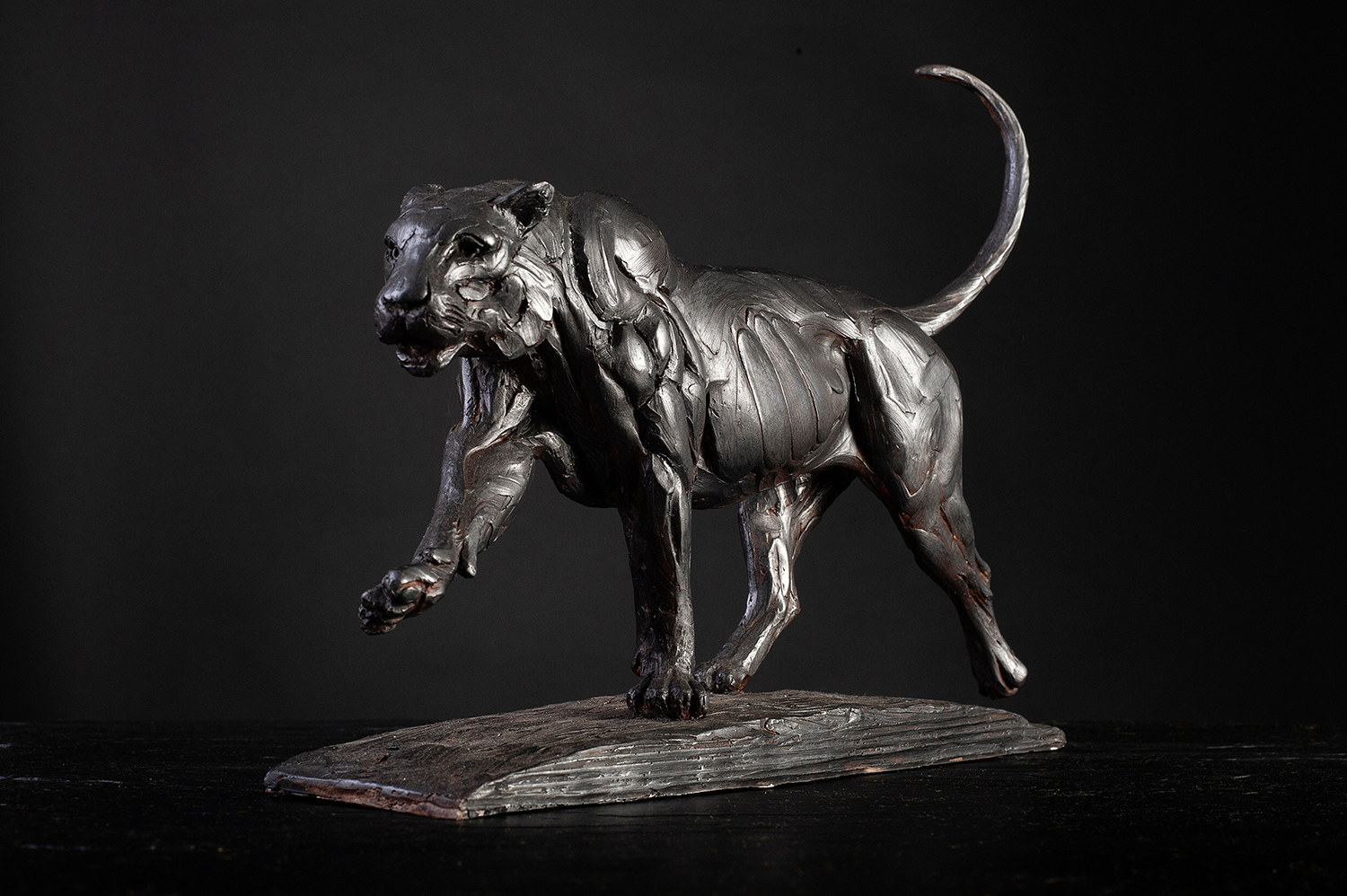 Tiger > Find out more...
