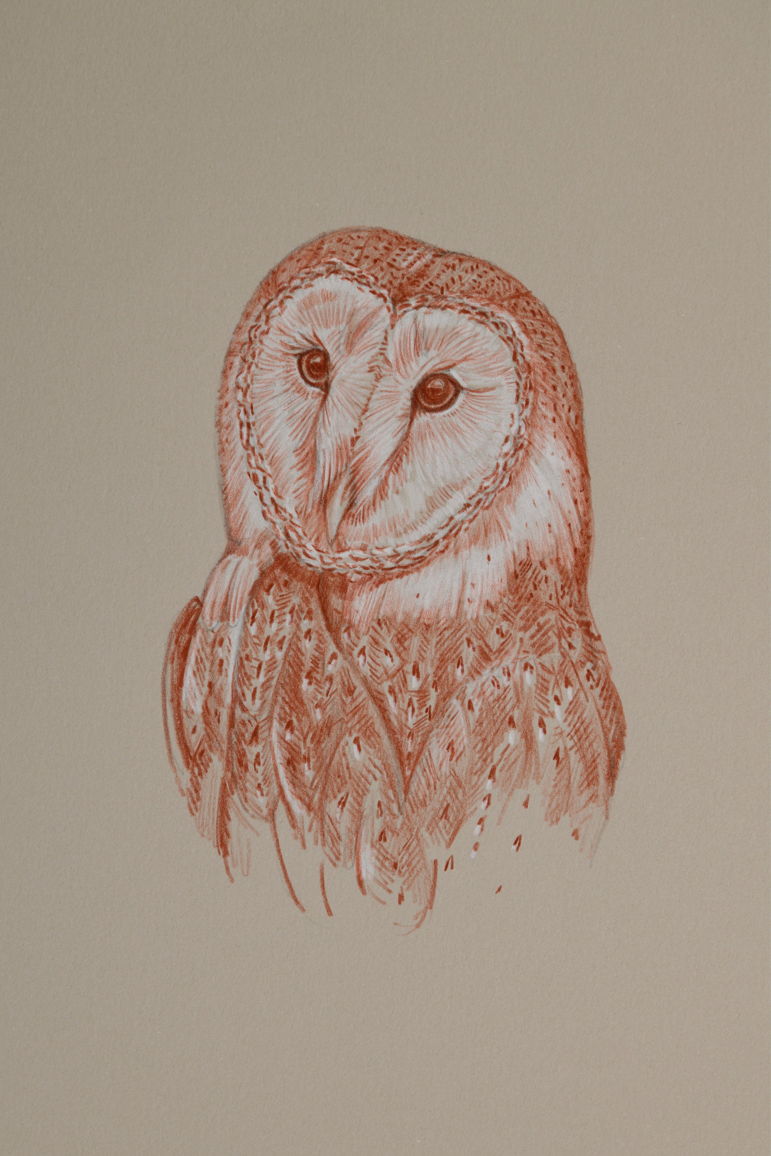 Ian_Drawings for Web4.jpg
