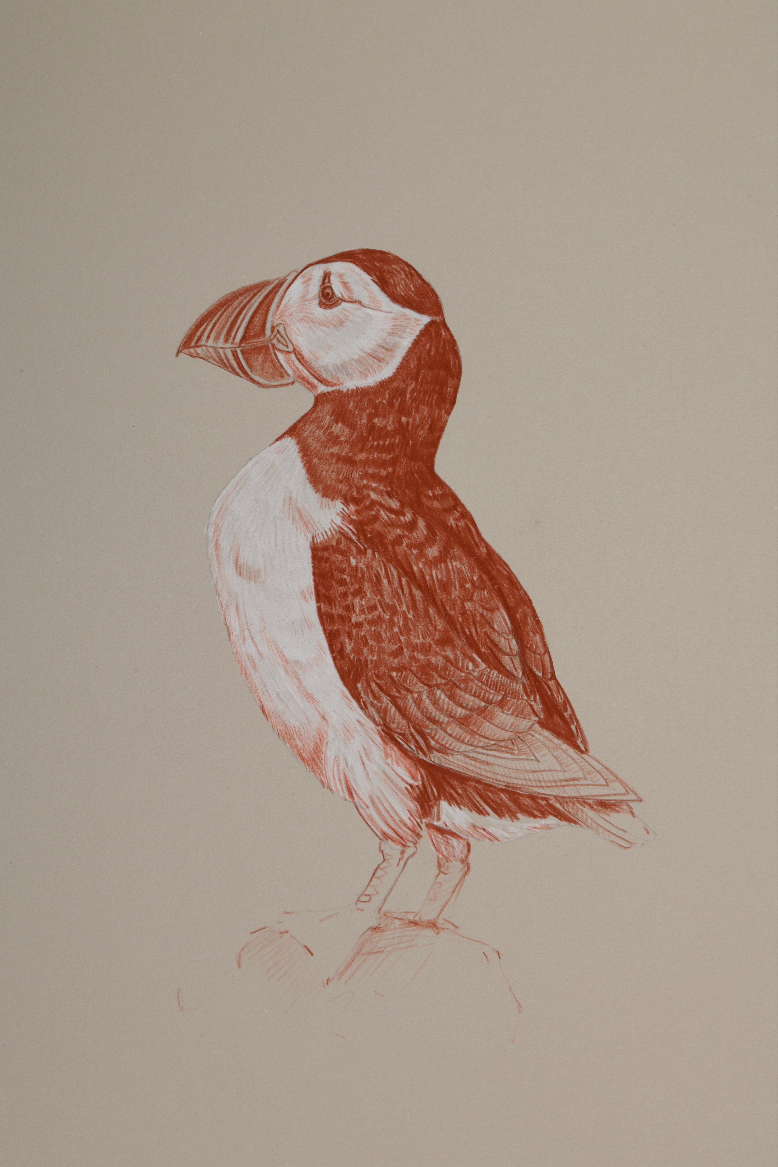 Ian_Drawings for Web5.jpg