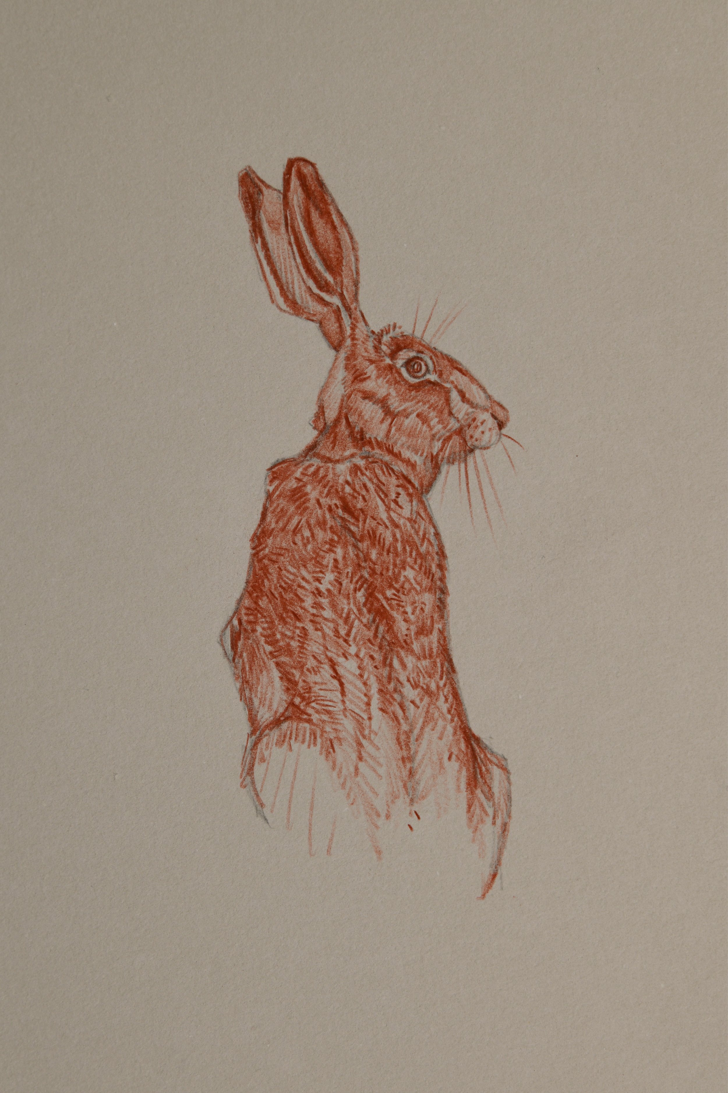 Ian_Drawings for Web3.jpg