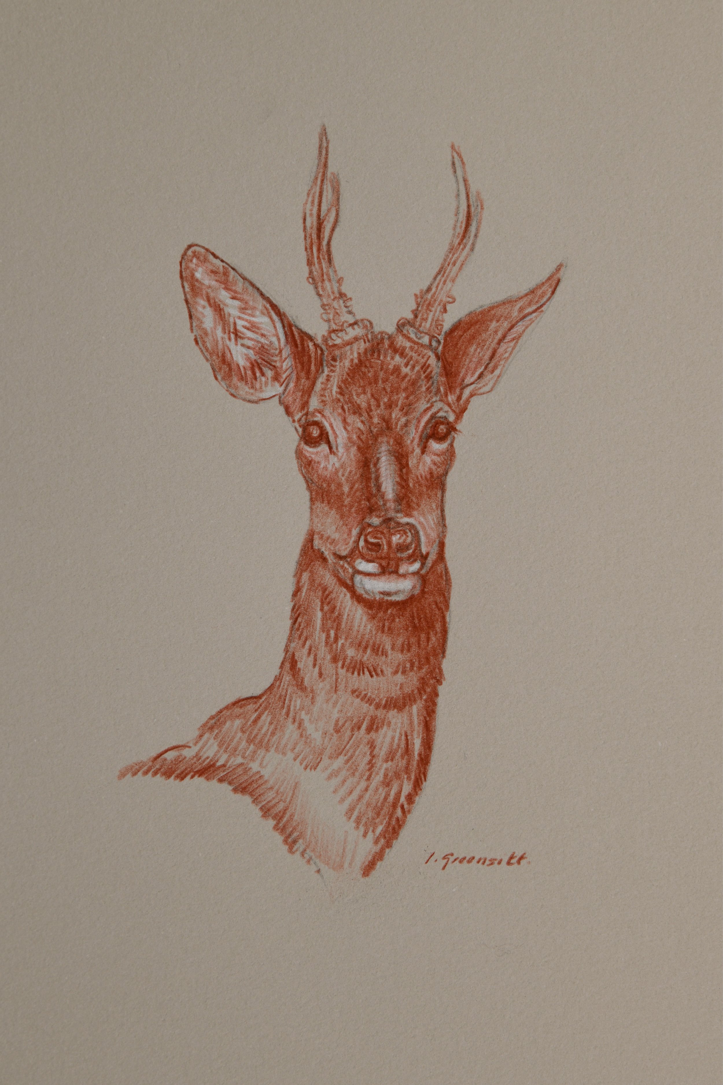 Ian_Drawings for Web2.jpg