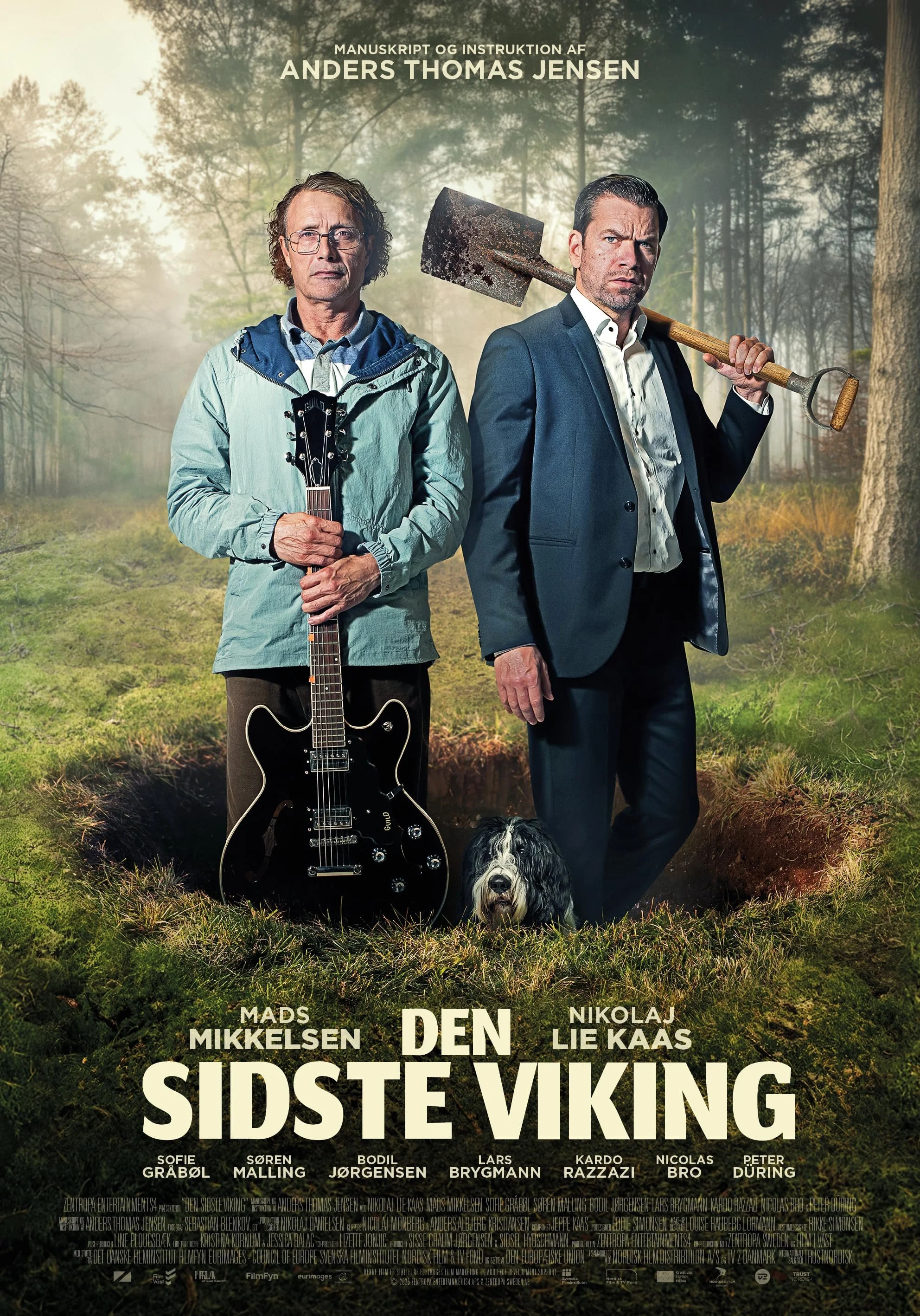DSV.jpg