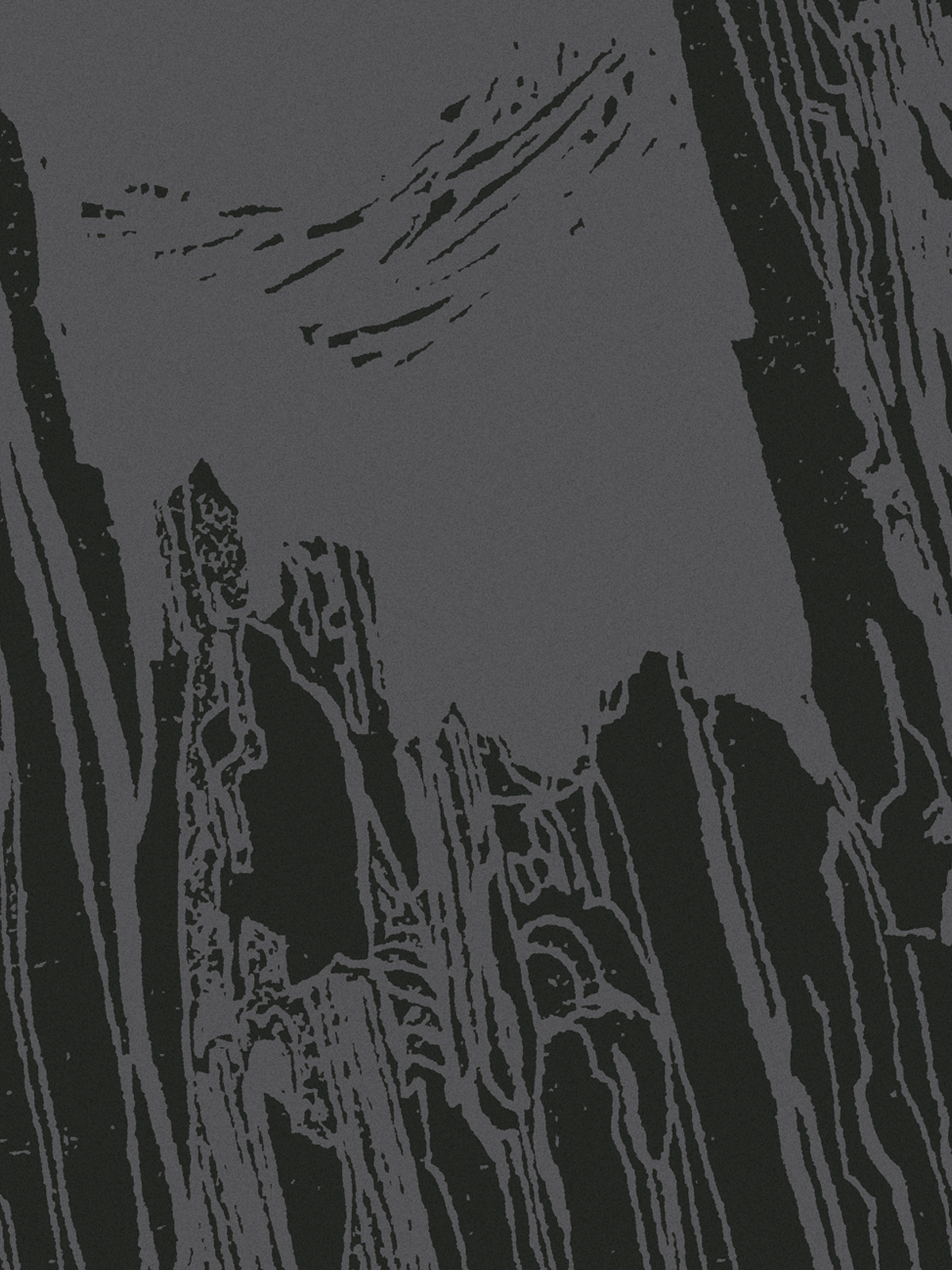 25_HB Pinot Noir_art_1200x1600_150DPI.png