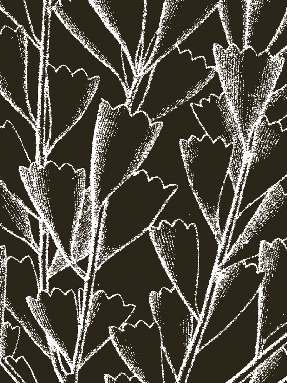 26_Coal River Valley Gamay_art_1200x1600_150DPI.png