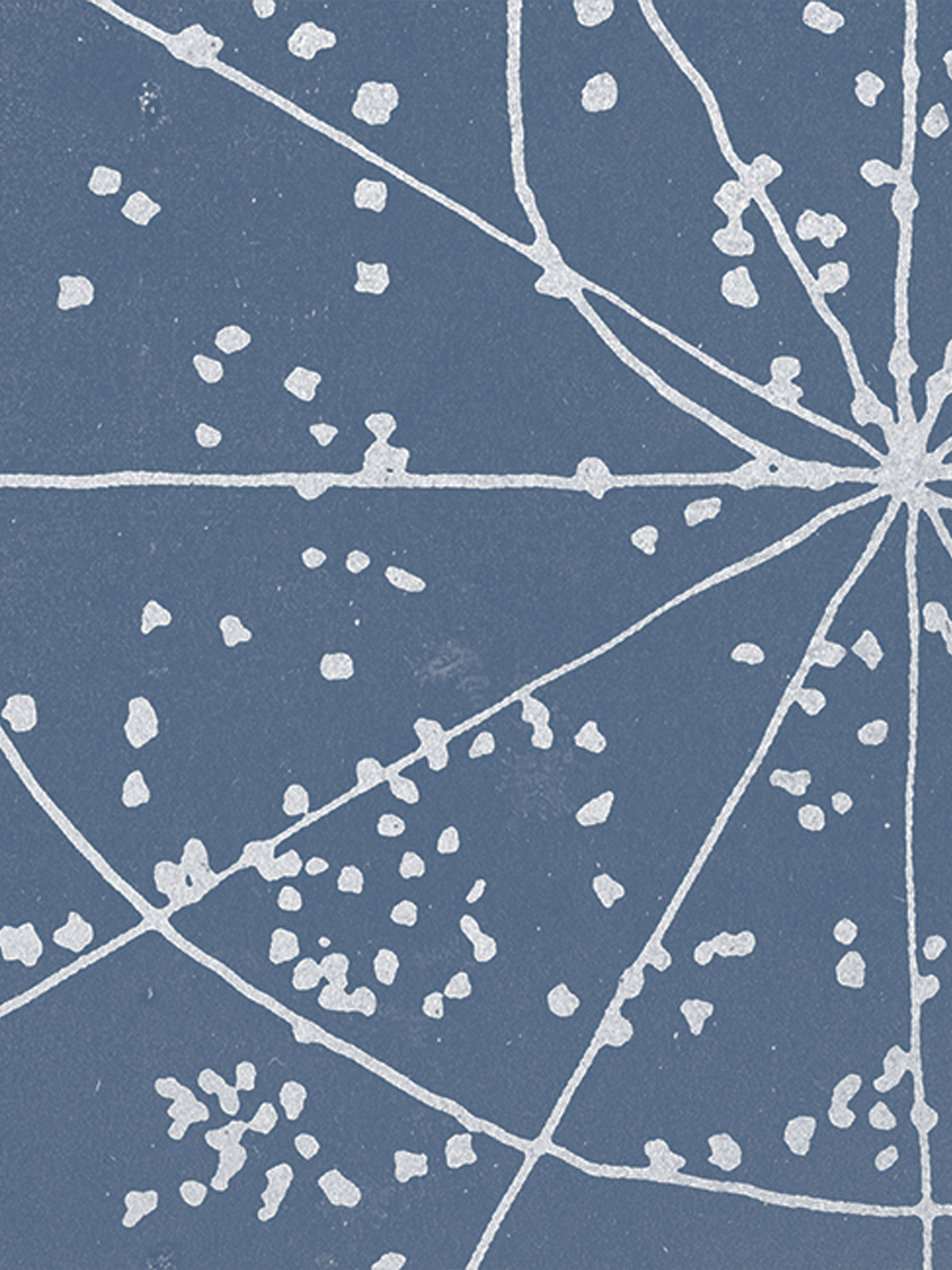 21_Pinot Noir_art_1200x1600_150DPI.png