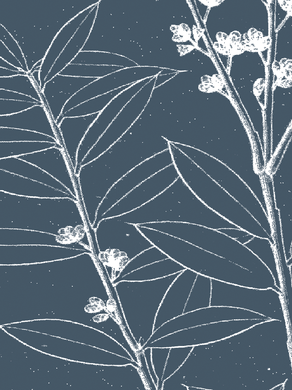 26_Le Jardin Grenache_art_1200x1600_150DPI.png