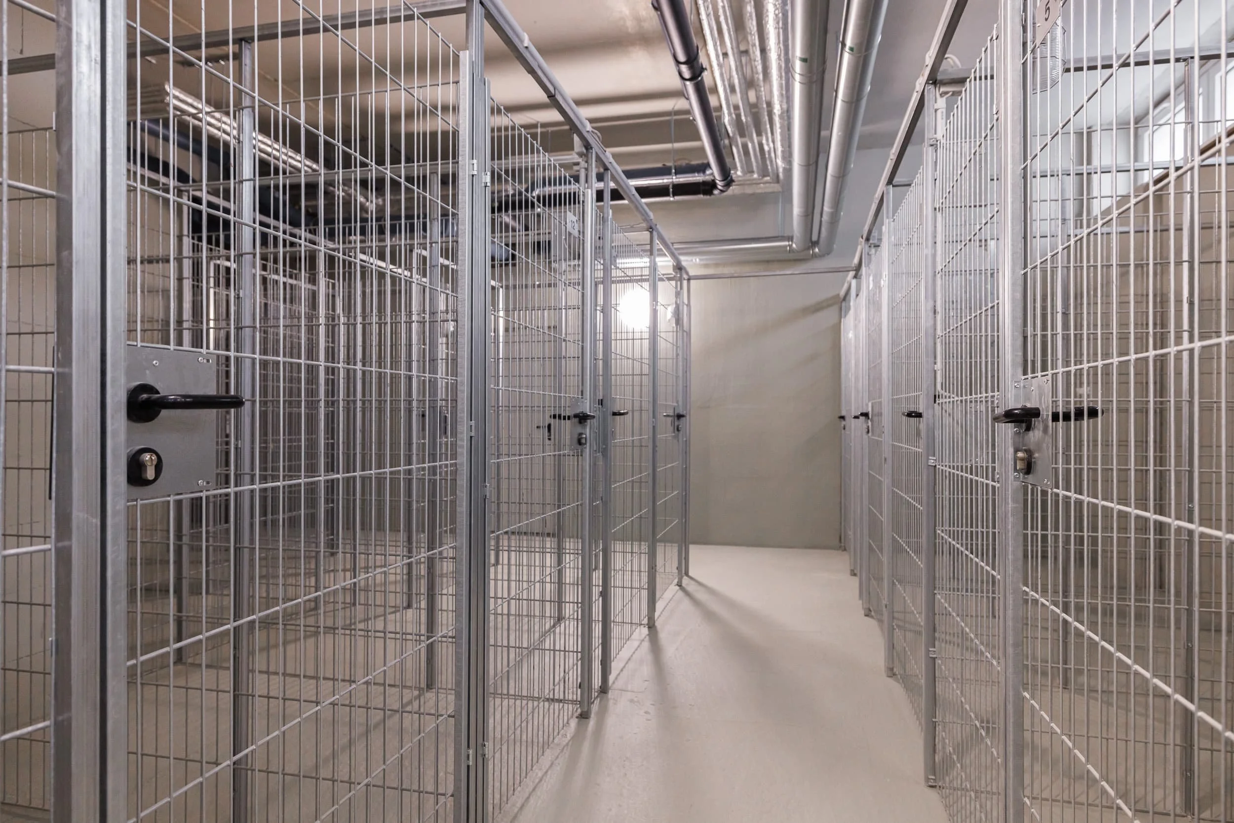 Leere Edelstahlkäfige in einem Raum, wahrscheinlich ein Tierheim oder Labor, mit Metallrohren an der Decke.
