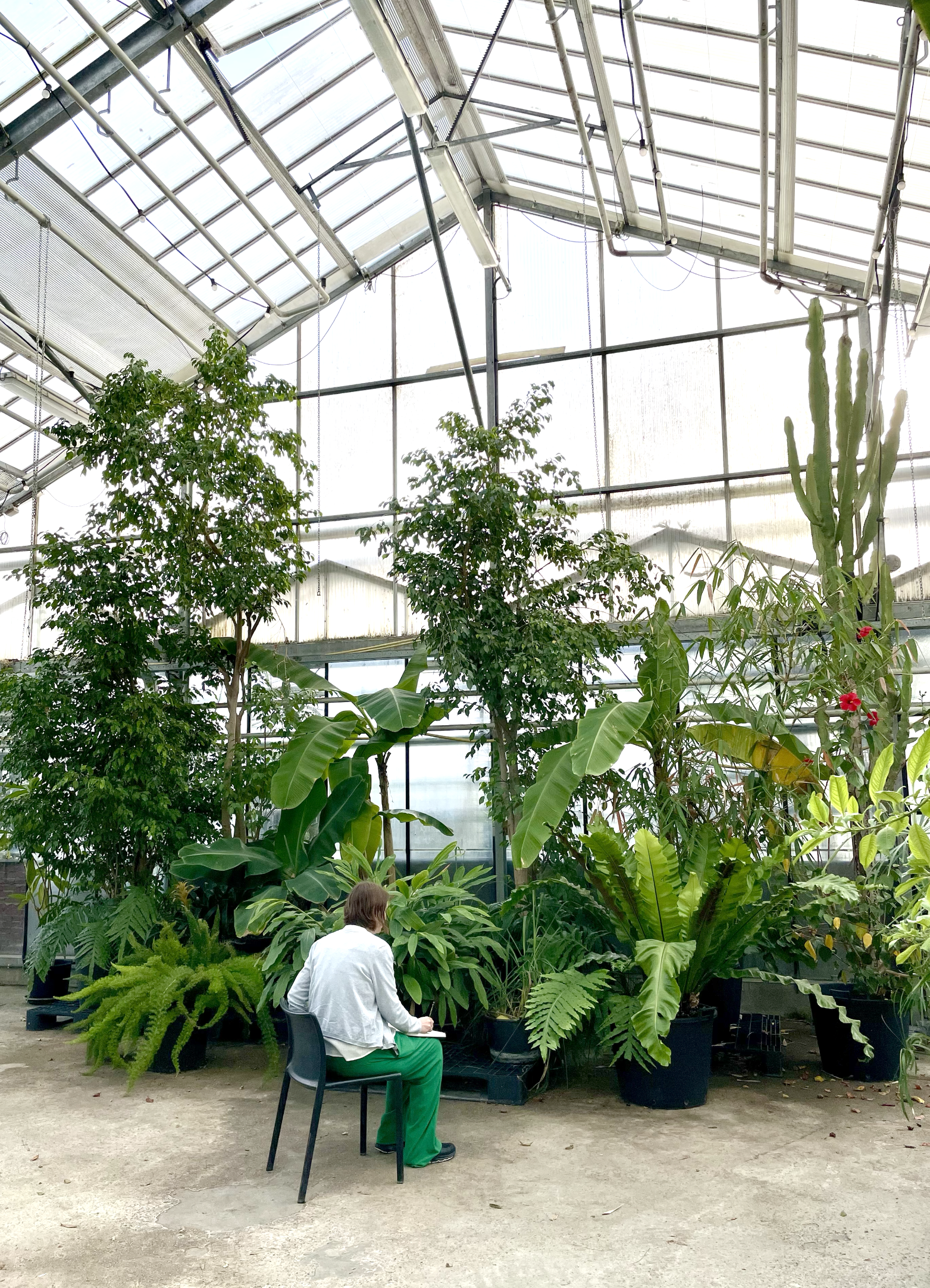 Tekencafé in de Kweektuinen in Haarlem — La Scarlatte Illustration Design, image size:1563x2165