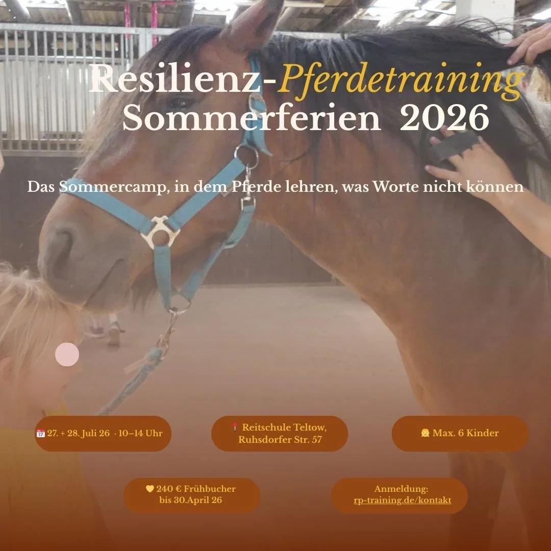 Resilienz-Pferdetraining in den Sommerferien von Berlin
