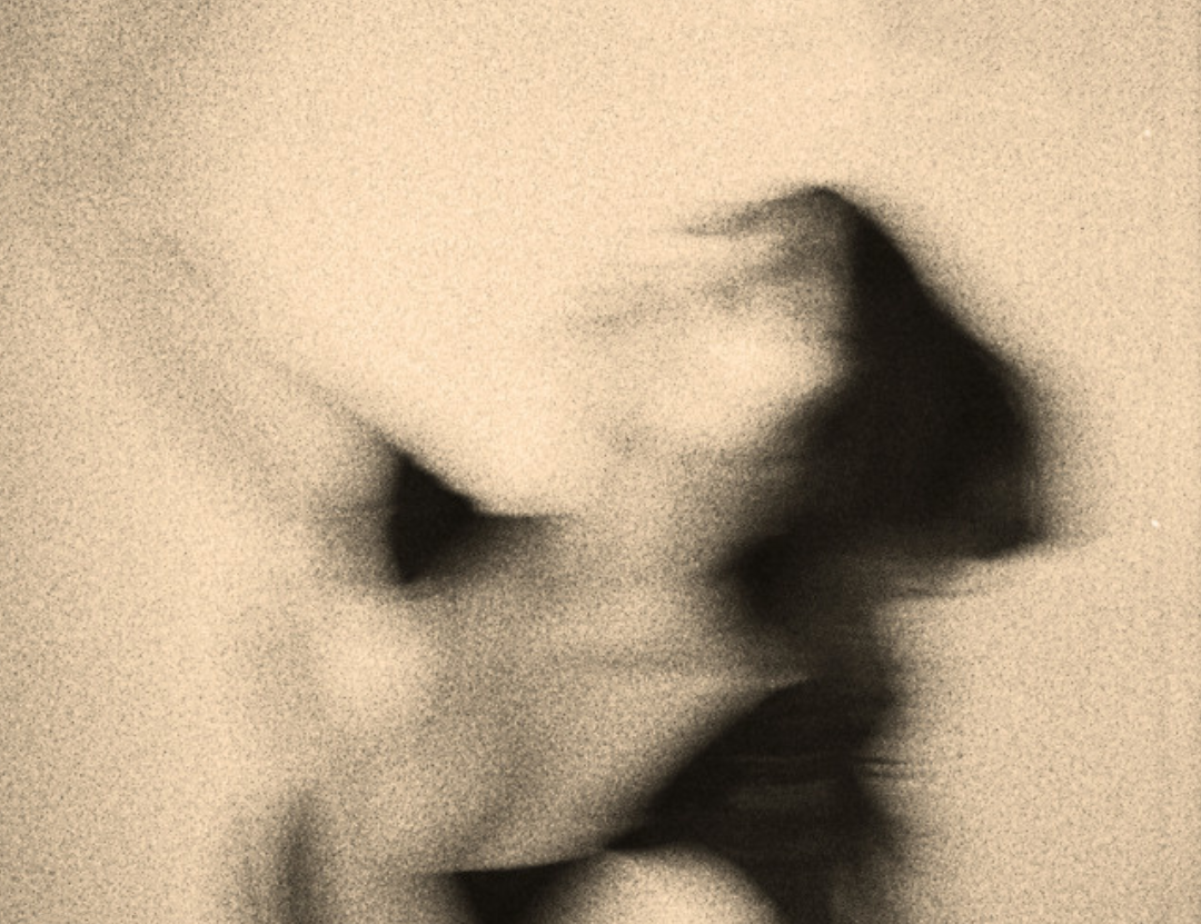 Festival CITY OF WOMEN · LES FEMMES S’EN MÊLENT · FABRICA FEMINA