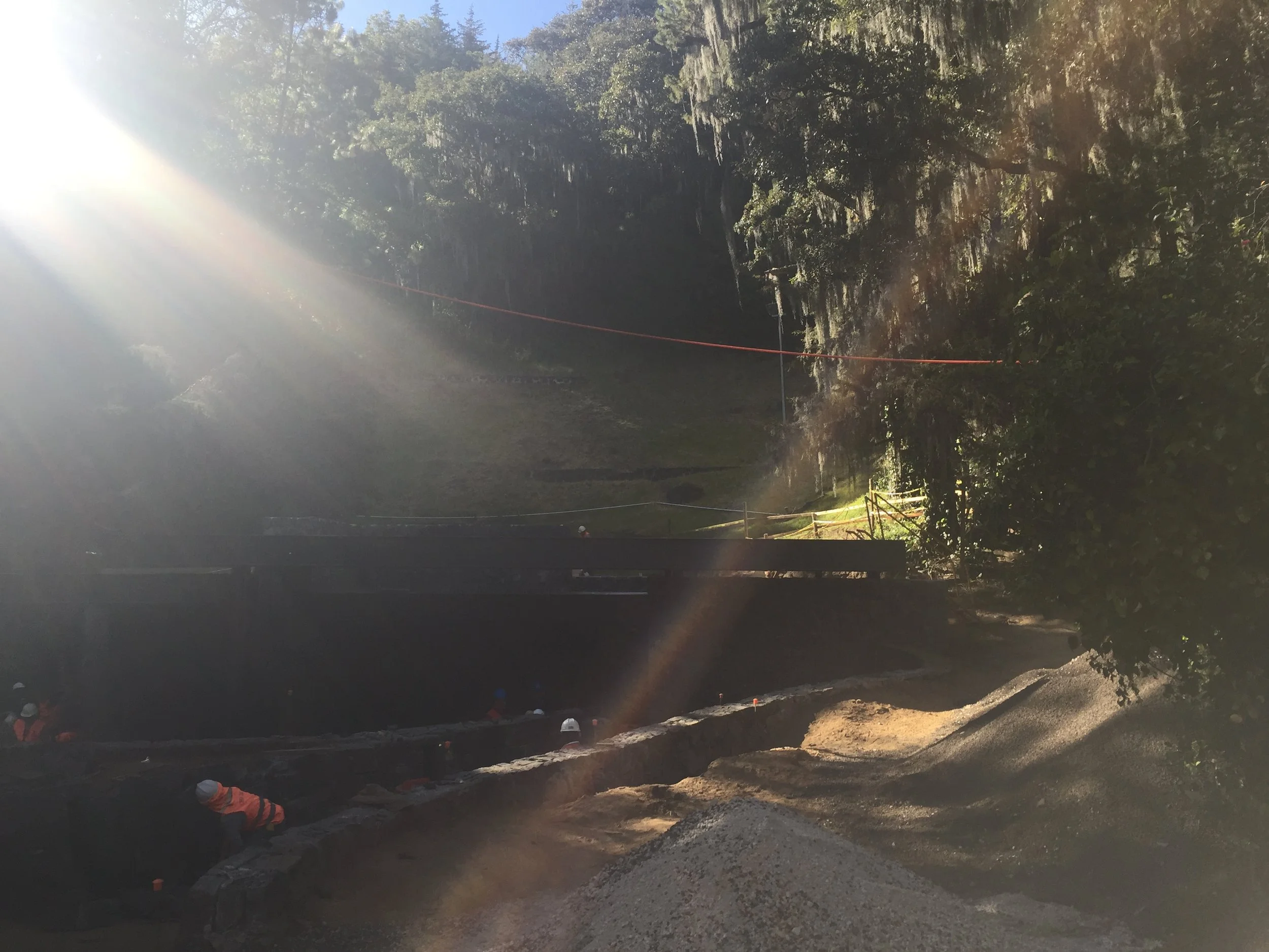 Foto 01-12-17 3 18 30 p. m..jpg