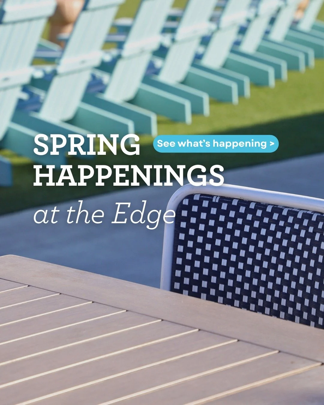 Spring has sprung at The Edge! 🌷Here's what you won't wanna miss: 

🐝Baba Java's Spring menu! Their fan-favorite, the Salty Bee Latte, is back! With espresso, milk, honey, and a pinch of salt, this is the perfect mix of sweet and salty you'll come 