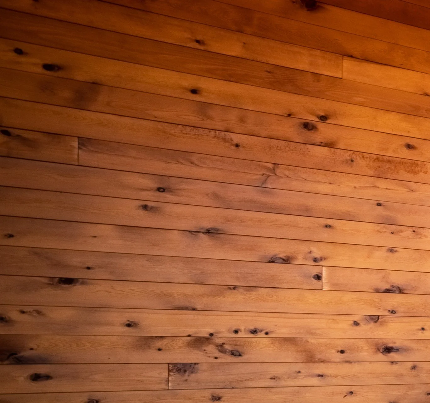 Wooden ceiling with visible dark knots and grains.